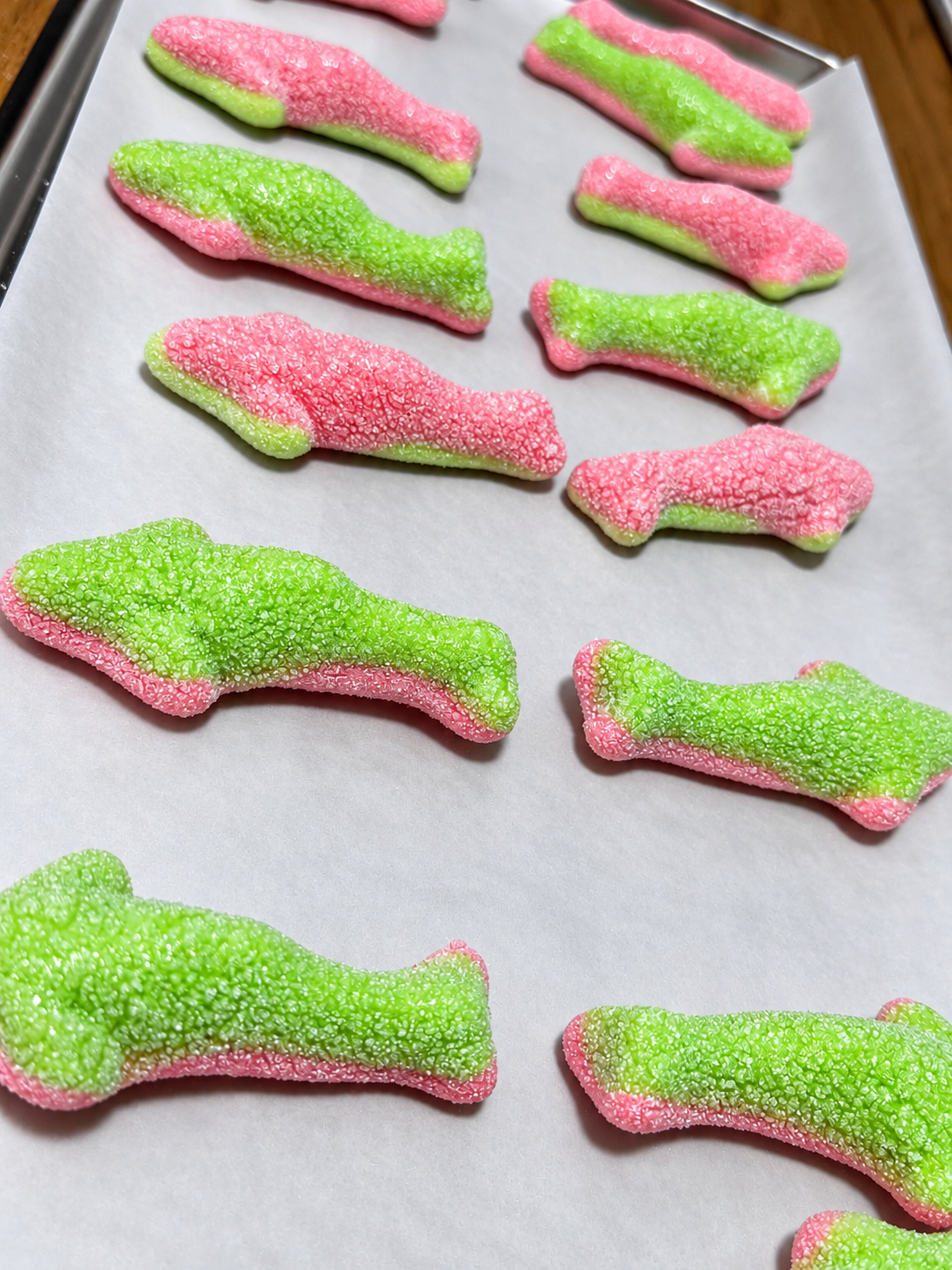 Gummy Sharks 2.png