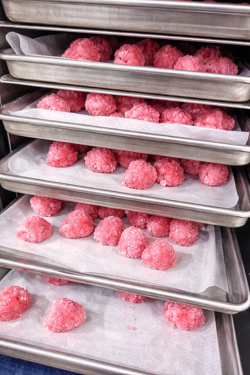 Red Raspberries (2).png