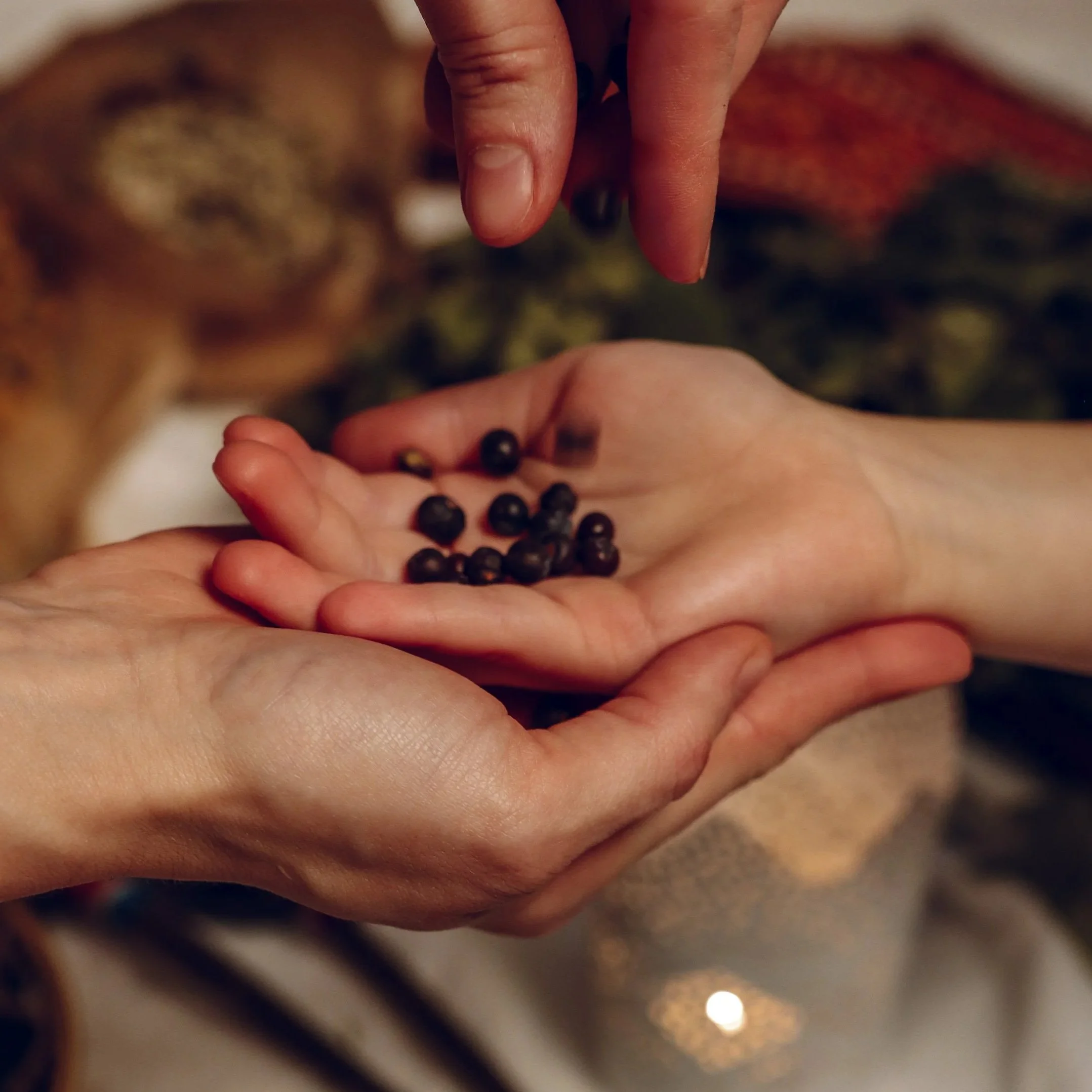 Newborn Welcome Sauna Ceremony