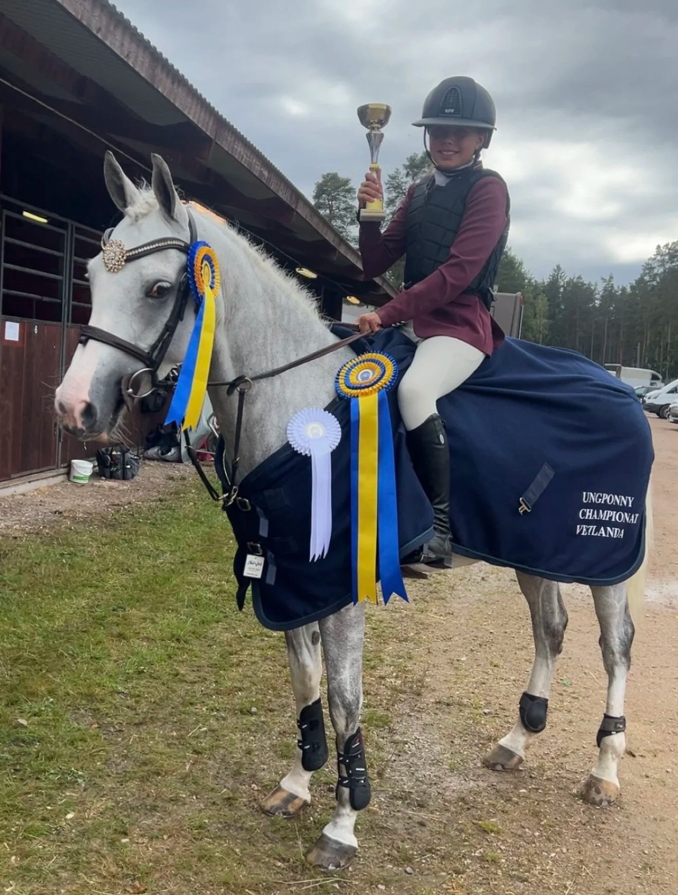 A young female equestrian rider in a helmet and riding gear sitting on a white horse with blue and yellow ribbons, holding a trophy, after a competition.