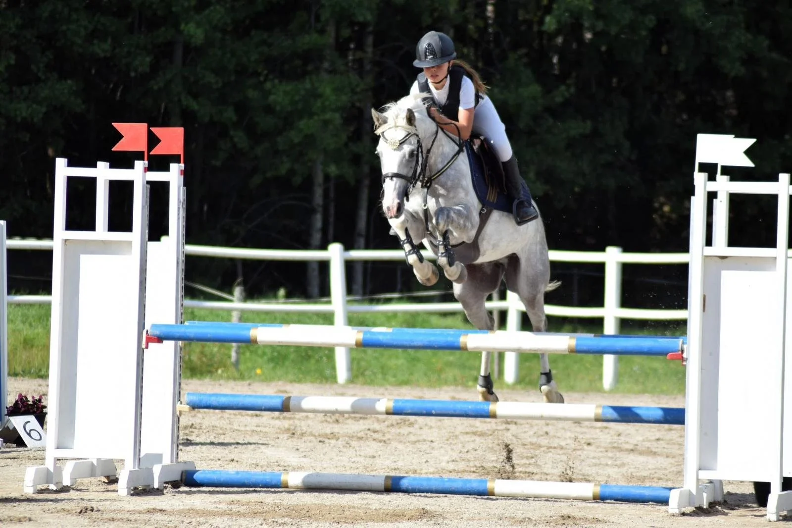 A girl riding a white horse jumps over an obstacle in a horse jumping competition, set outdoors with trees in the background.