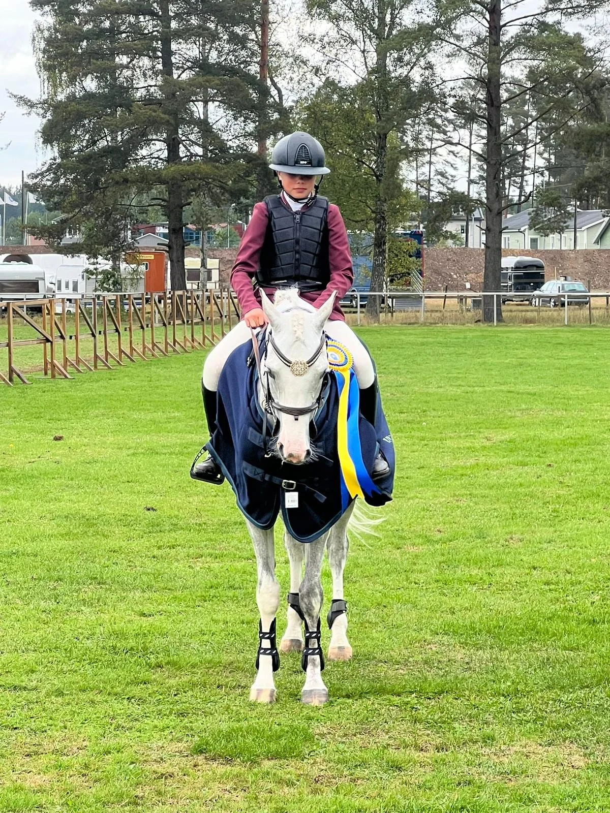 A young rider wearing a helmet and riding vest, sitting on a white horse with a blue and yellow ribbon, in a grassy field.