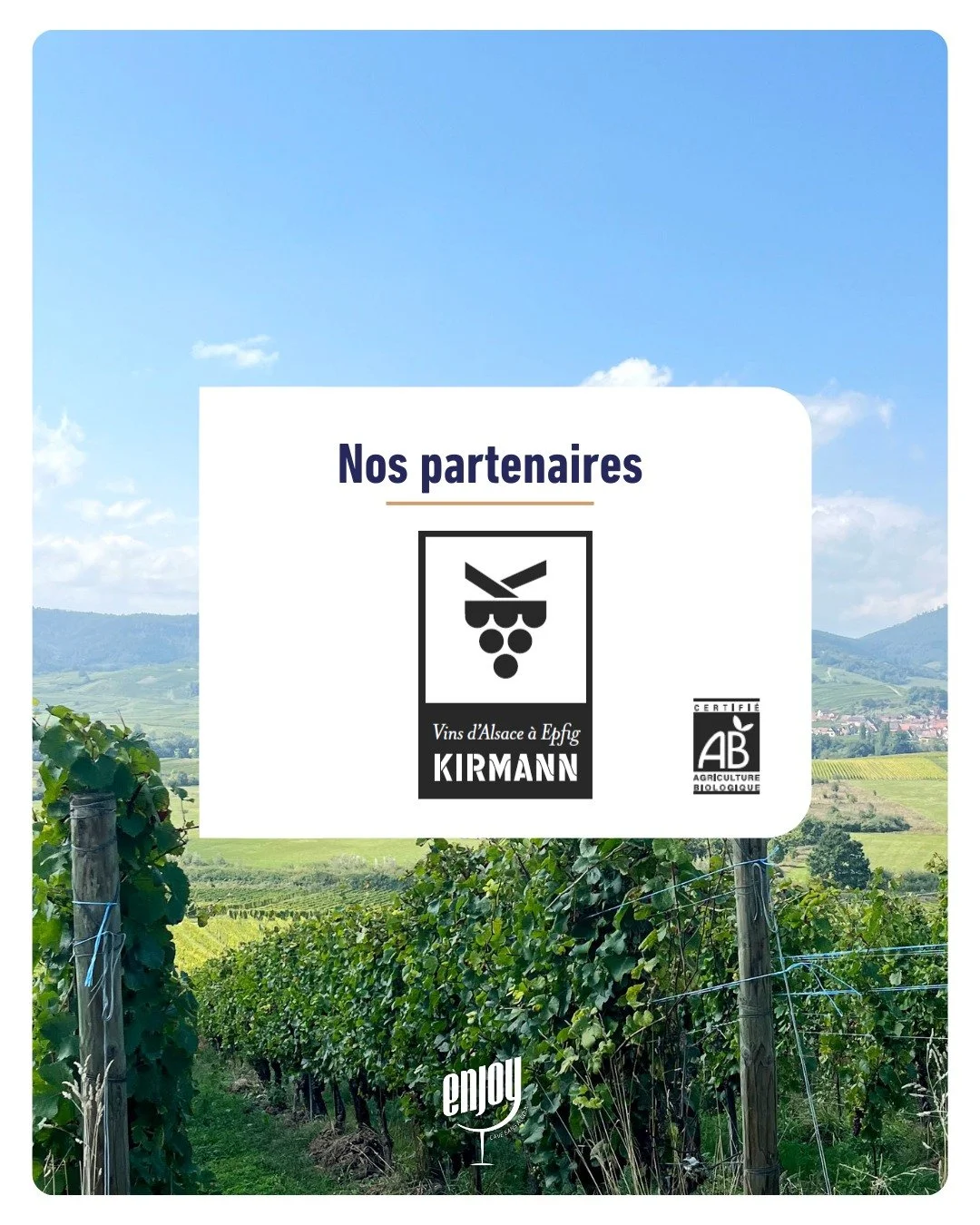 🥨 Direction l&rsquo;Alsace, &agrave; la d&eacute;couverte du 𝗗𝗼𝗺𝗮𝗶𝗻𝗲 𝗞𝗶𝗿𝗺𝗮𝗻𝗻

Au c&oelig;ur des paysages viticoles alsaciens, le Domaine Kirmann perp&eacute;tue depuis quatre g&eacute;n&eacute;rations un savoir-faire profond&eacute;men