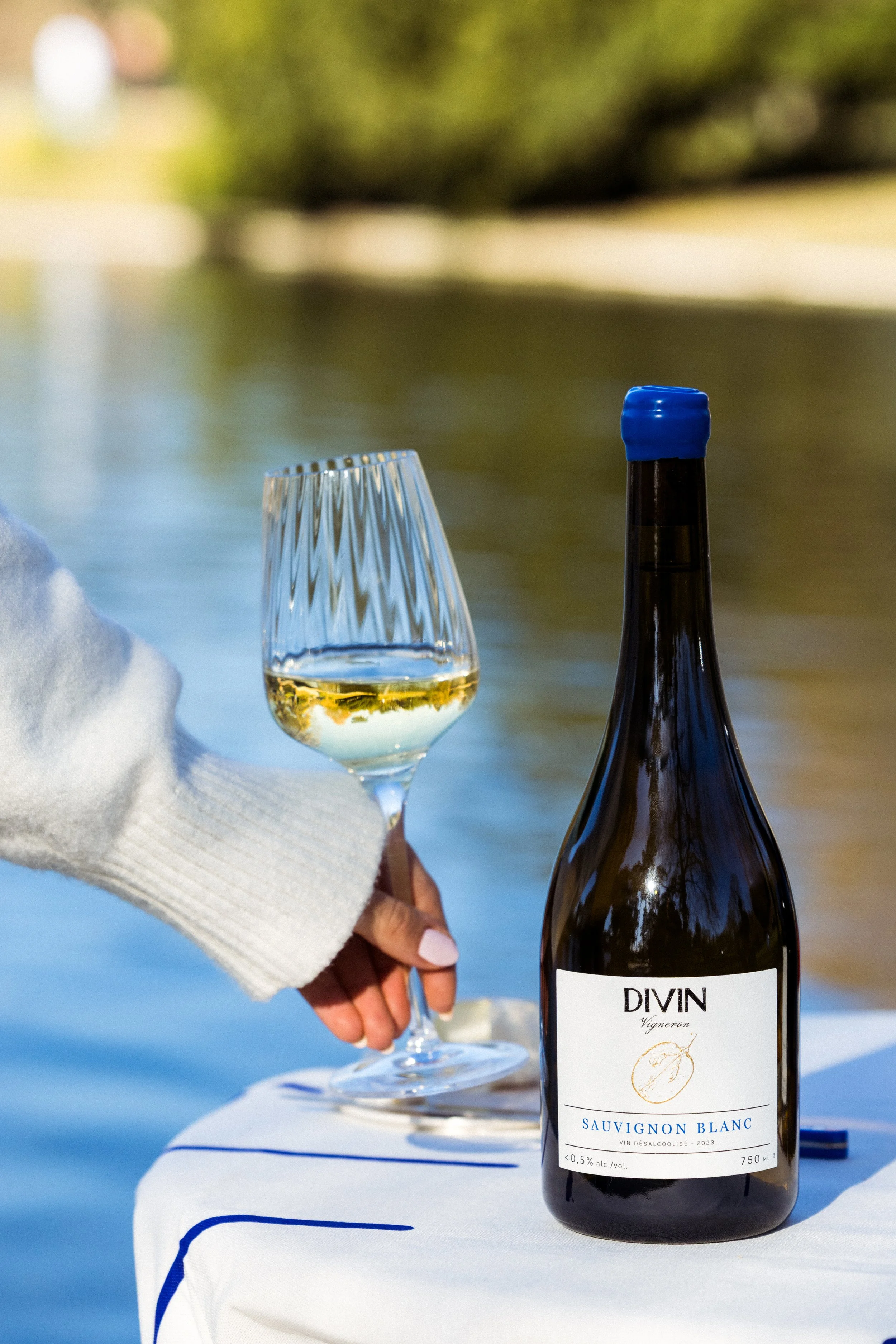 divin_officiel_vigneron_sauvignonblanc_23_1.jpg