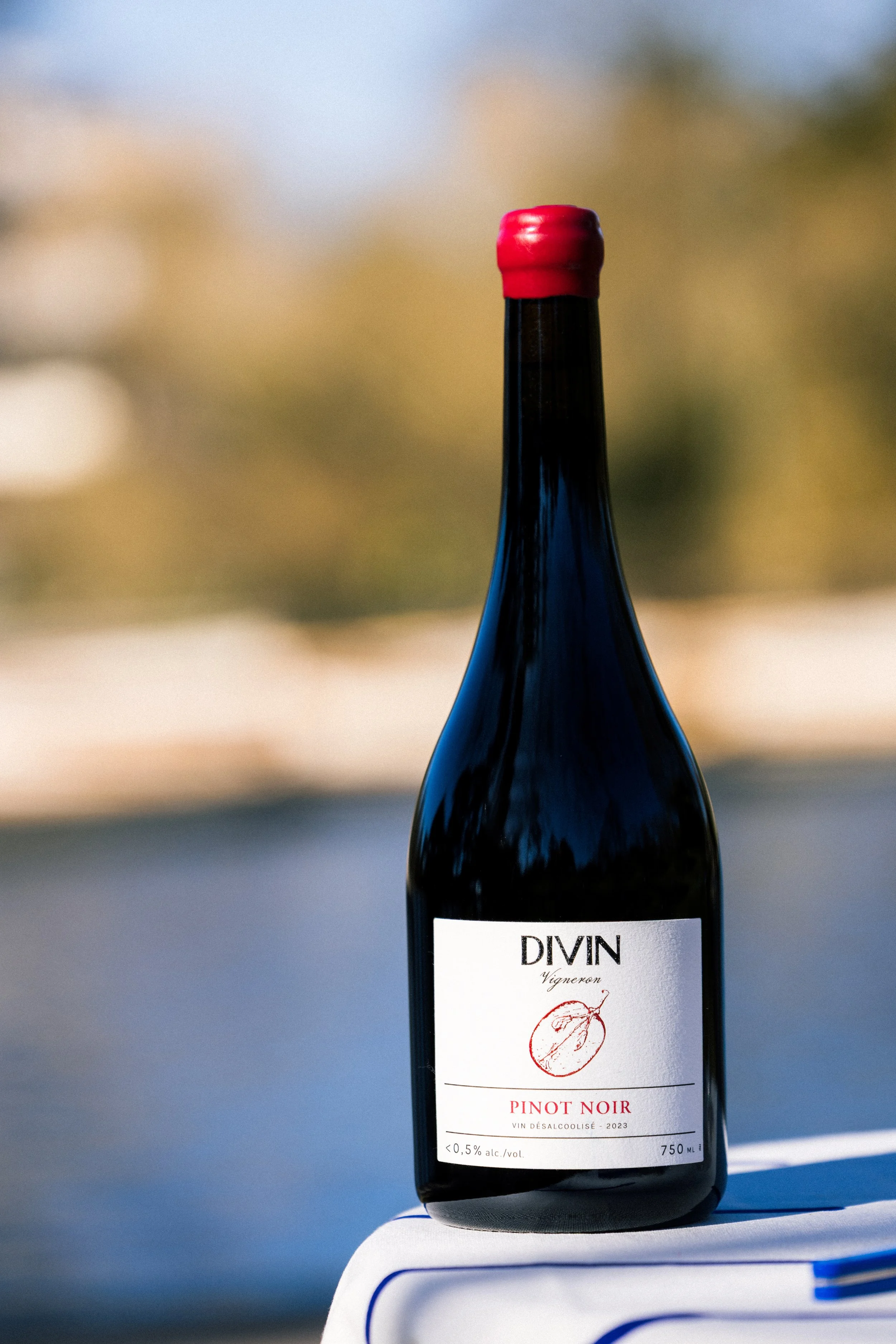 divin_officiel_vigneron_pinotnoir_23_25.jpg