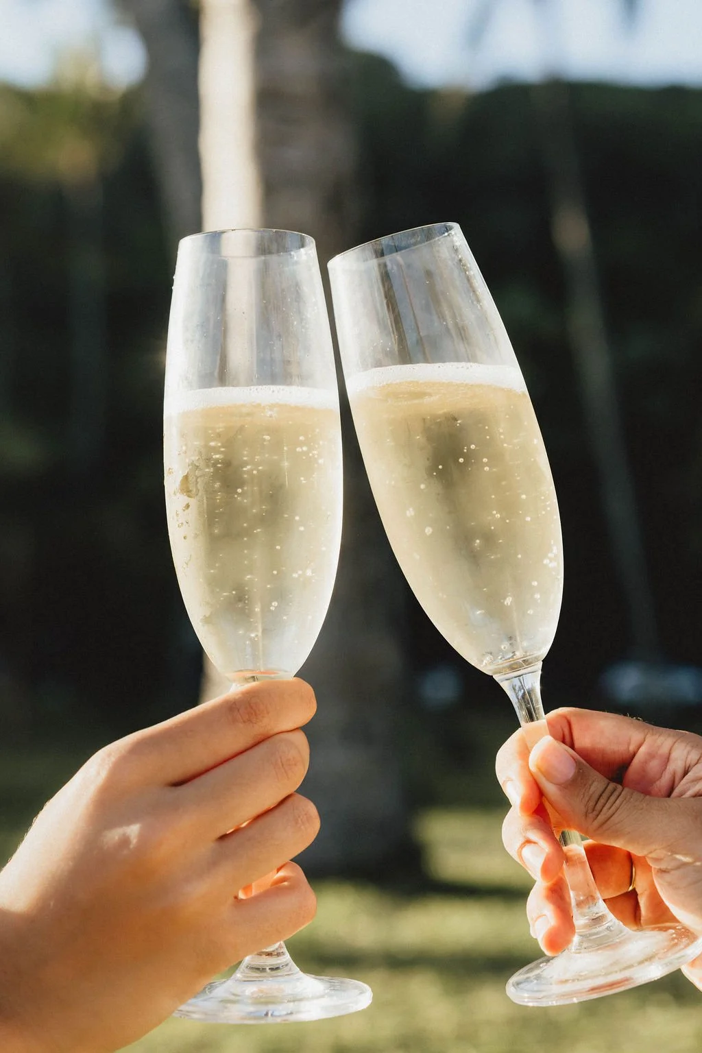 Tchin.jpg