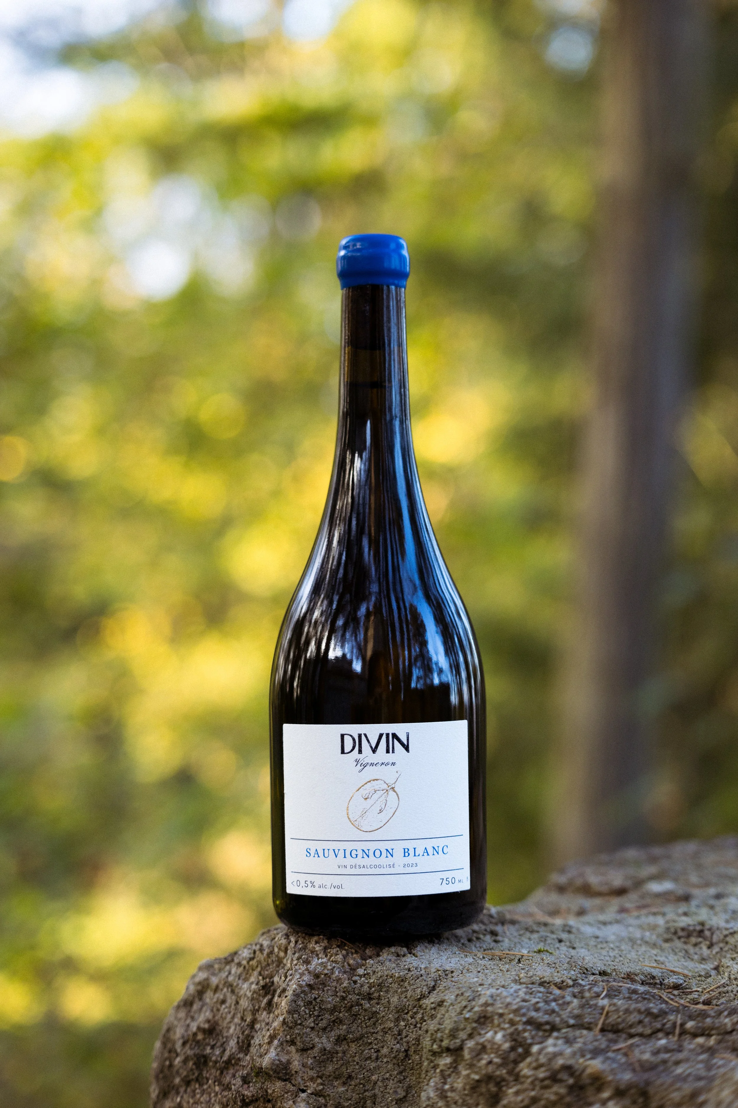divin_officiel_vigneron_sauvignon_blanc_24_4.jpg