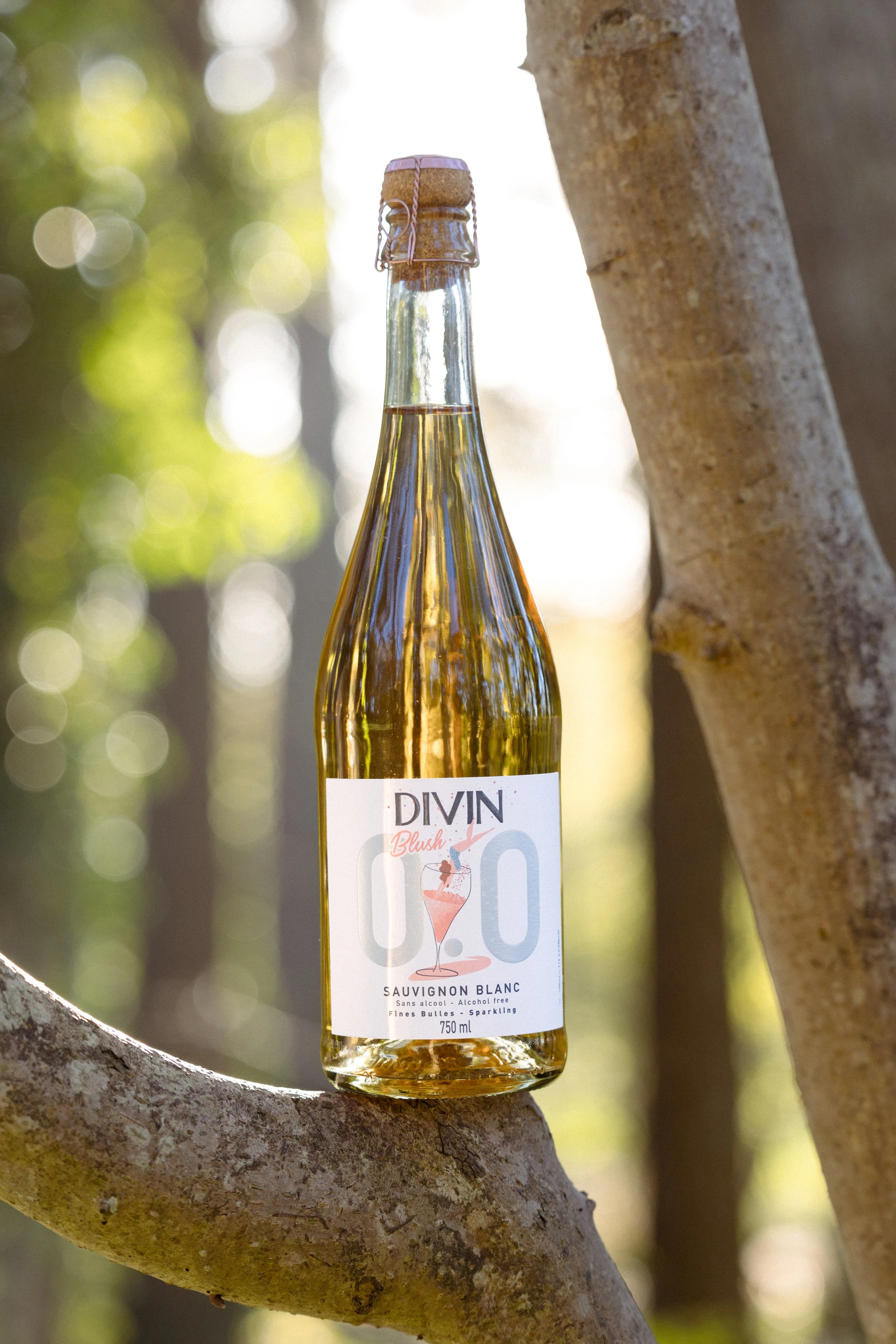 divin_officiel_origine_sauvignon_blush_24_6.jpg