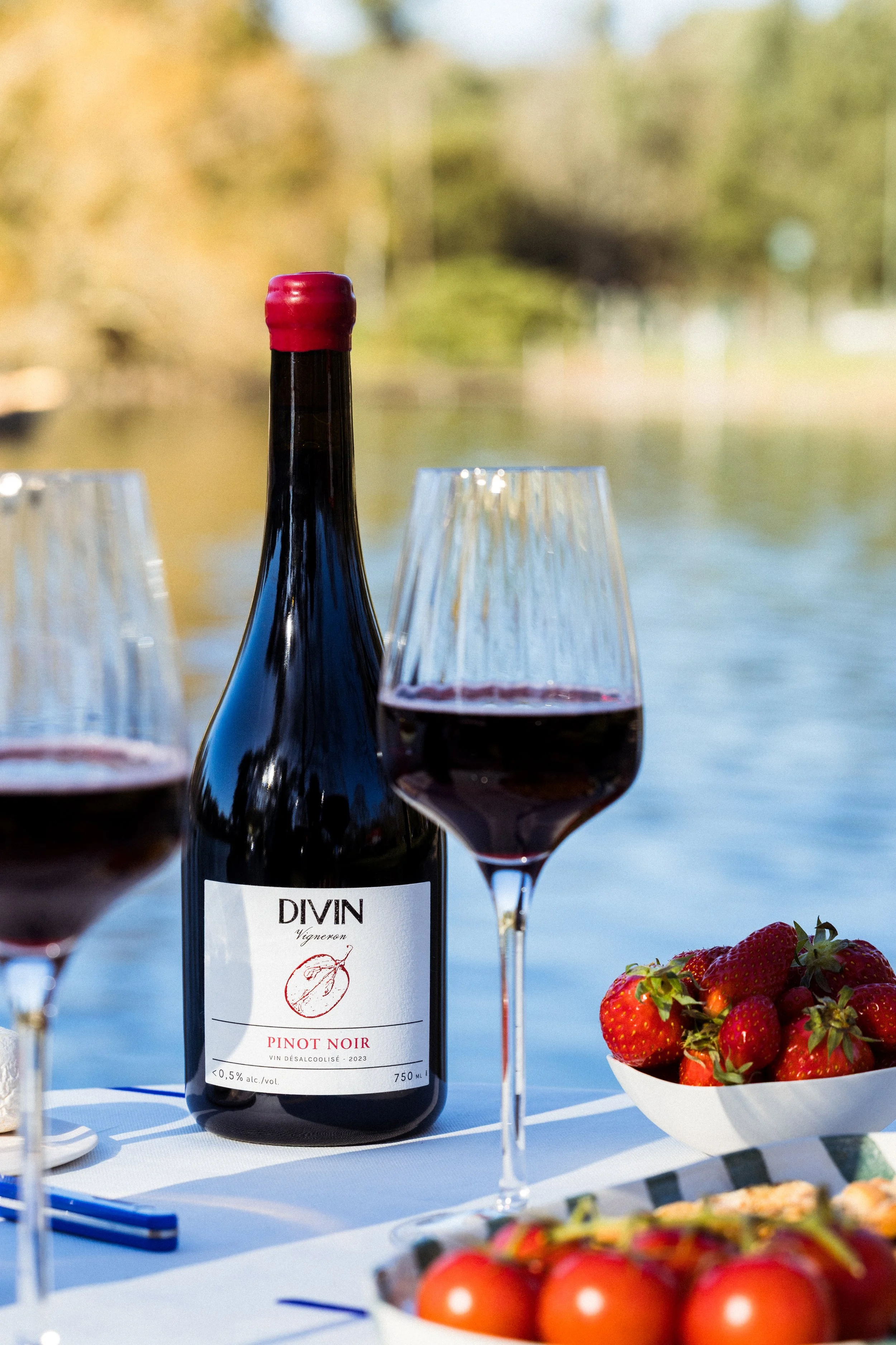 Pinot Noir désalcoolisé <0.5% - Divin Vigneron 2024