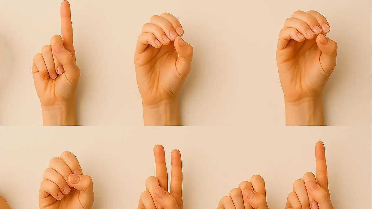 CUENTOS NAVIDEÑOS Y LENGUA DE SEÑAS MEXICANAS