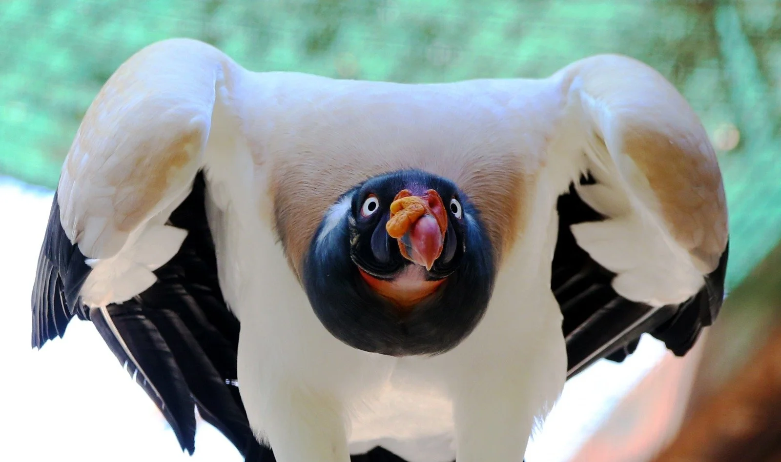 WhatsApp Image 2026-03-31 at 9.21.59 AM (2).jpeg