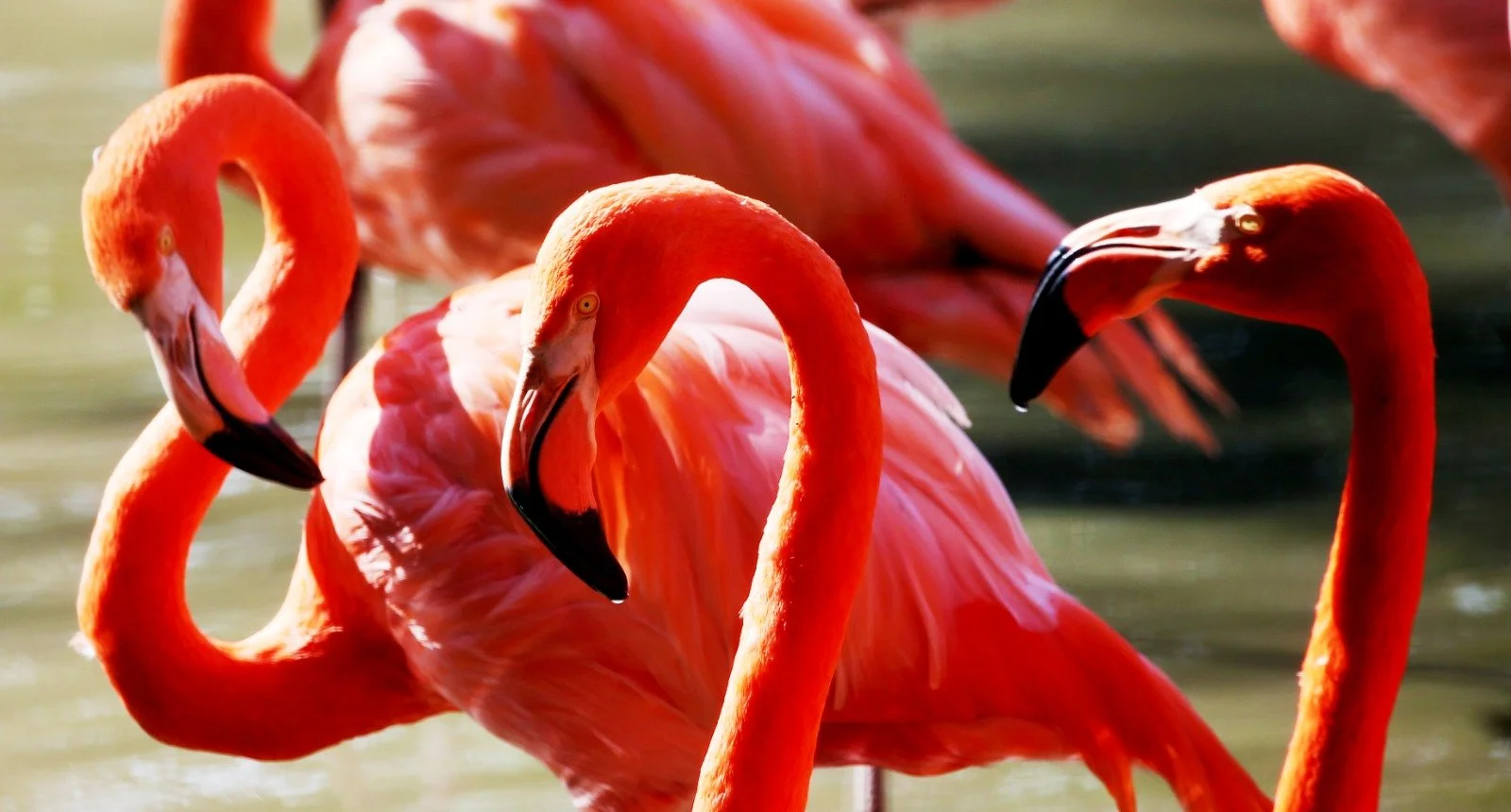 WhatsApp Image 2026-03-31 at 9.21.59 AM (1).jpeg