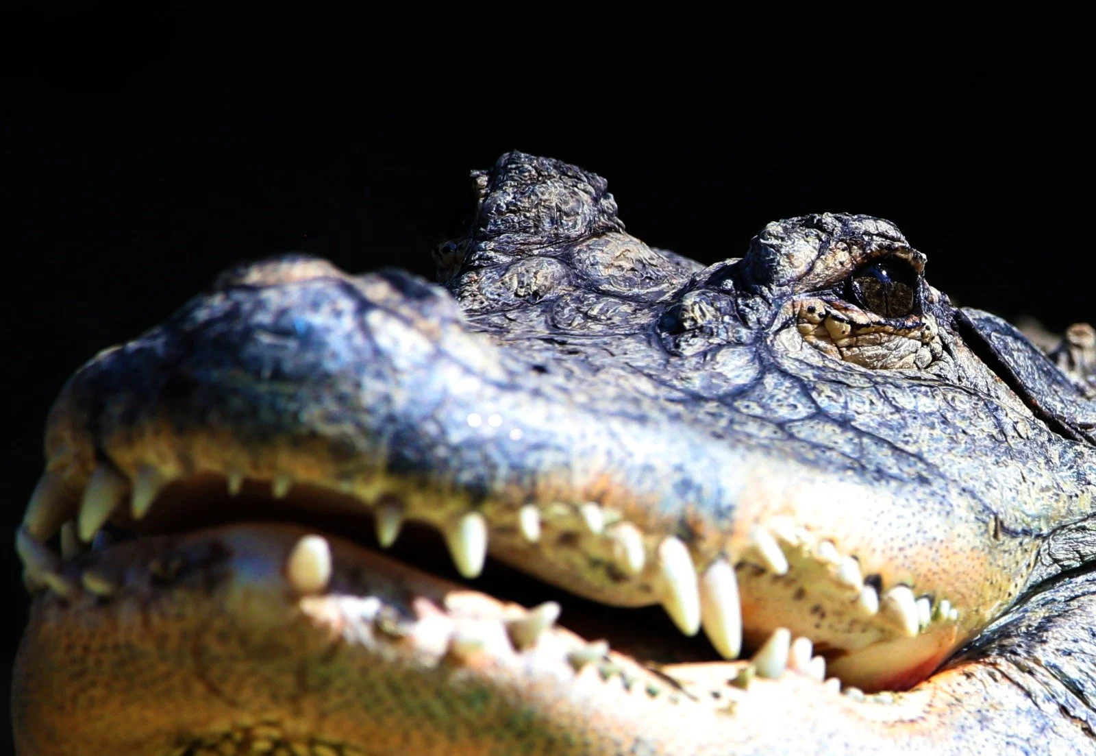 WhatsApp Image 2026-03-31 at 9.21.58 AM.jpeg