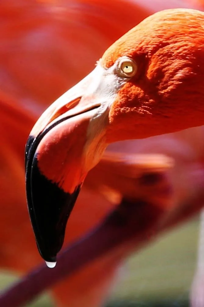 WhatsApp Image 2026-03-31 at 9.21.59 AM.jpeg