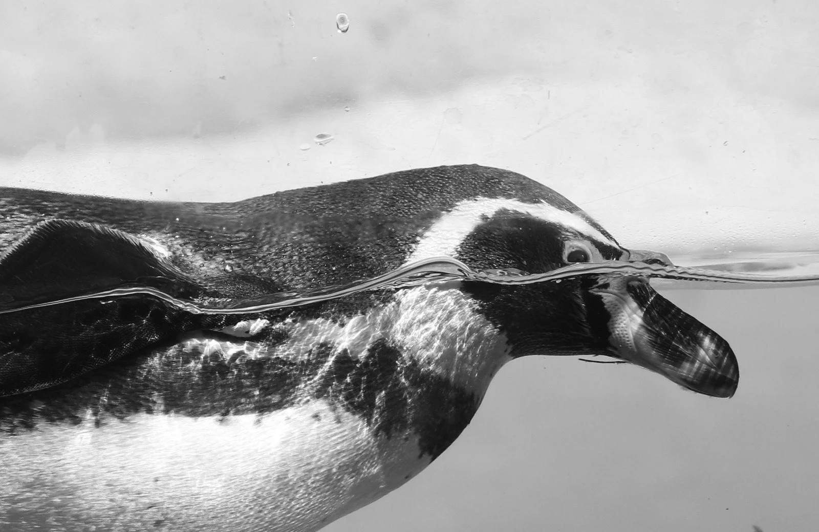 WhatsApp Image 2026-03-31 at 9.21.58 AM (3).jpeg