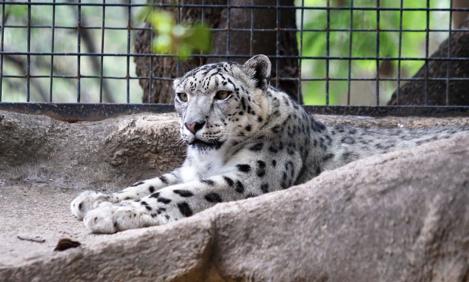 WhatsApp Image 2026-03-31 at 9.21.57 AM.jpeg