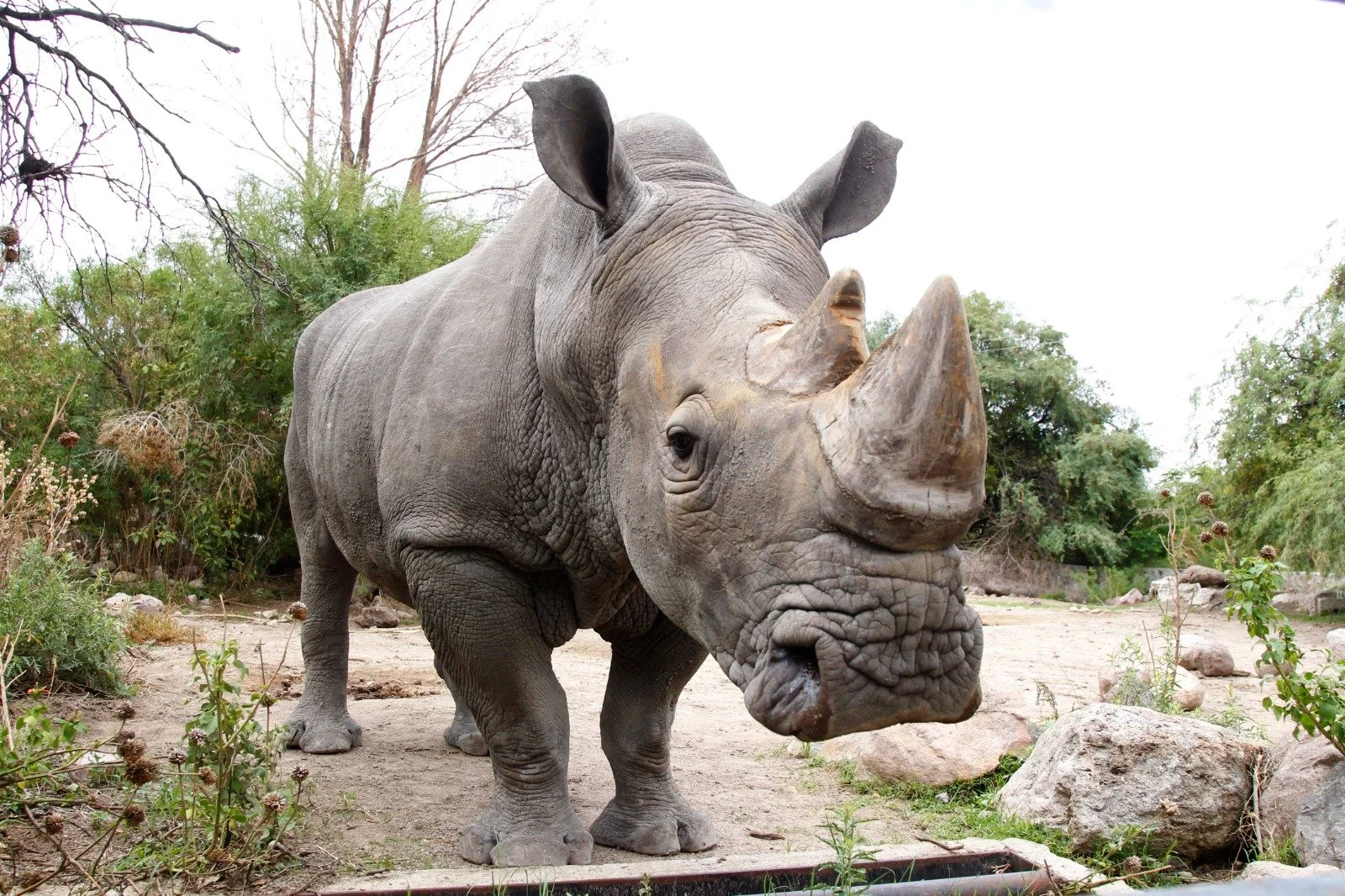 WhatsApp Image 2026-03-31 at 9.21.56 AM.jpeg