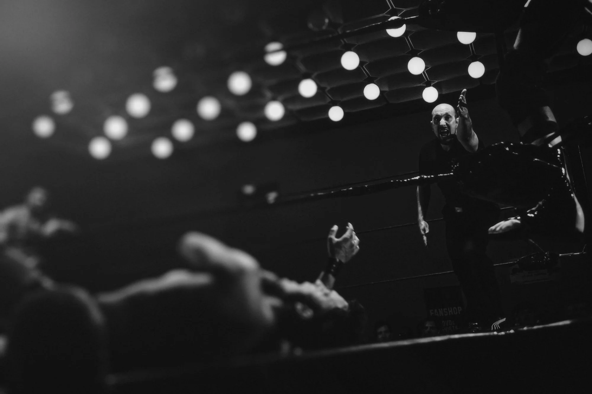 LUCHA LIBRE AAA, WWE Y TOOFYS LUCHA LIBRE