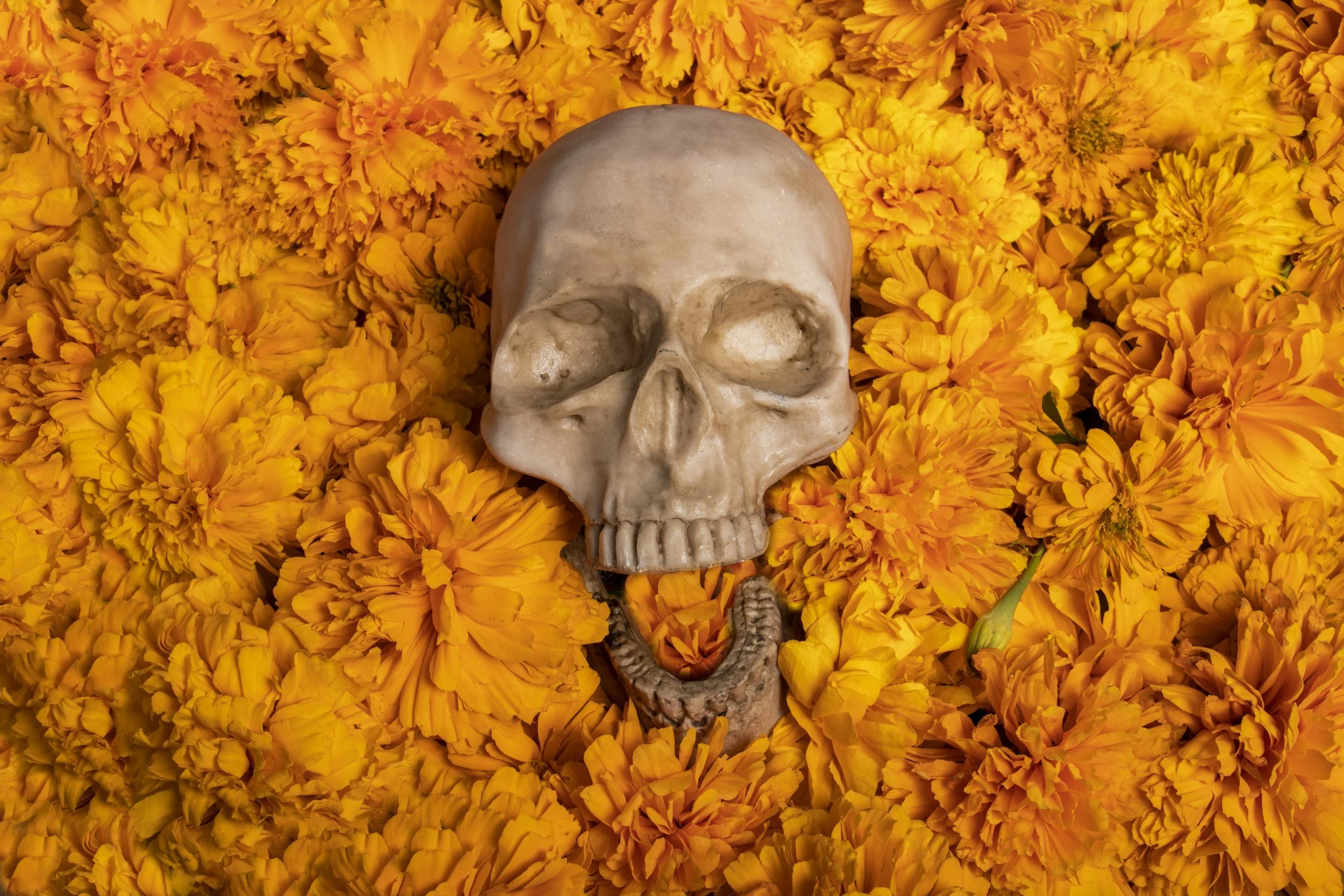 LA MUERTE EN MÉXICO ESTÁ MÁS VIVA QUE NUNCA