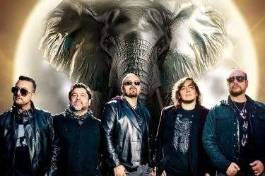 ELEFANTE en león
