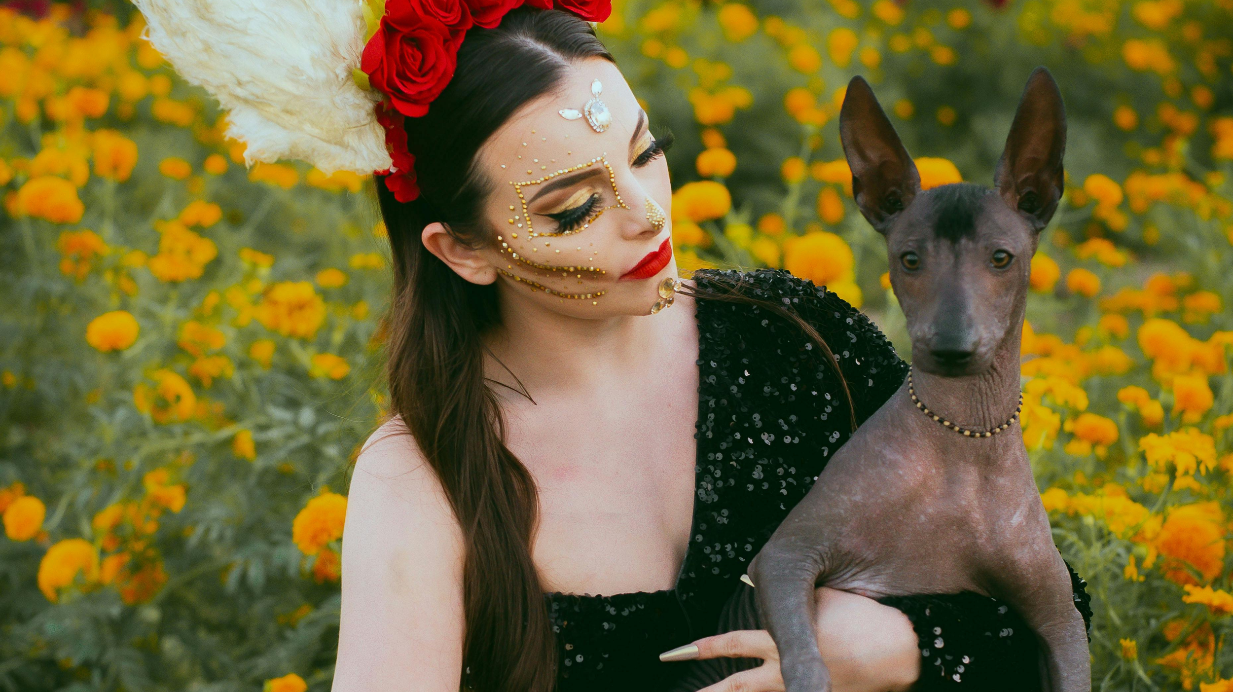 Campo de Xolos: el festival que celebra al xoloitzcuintle y su legado prehispánico en CDMX