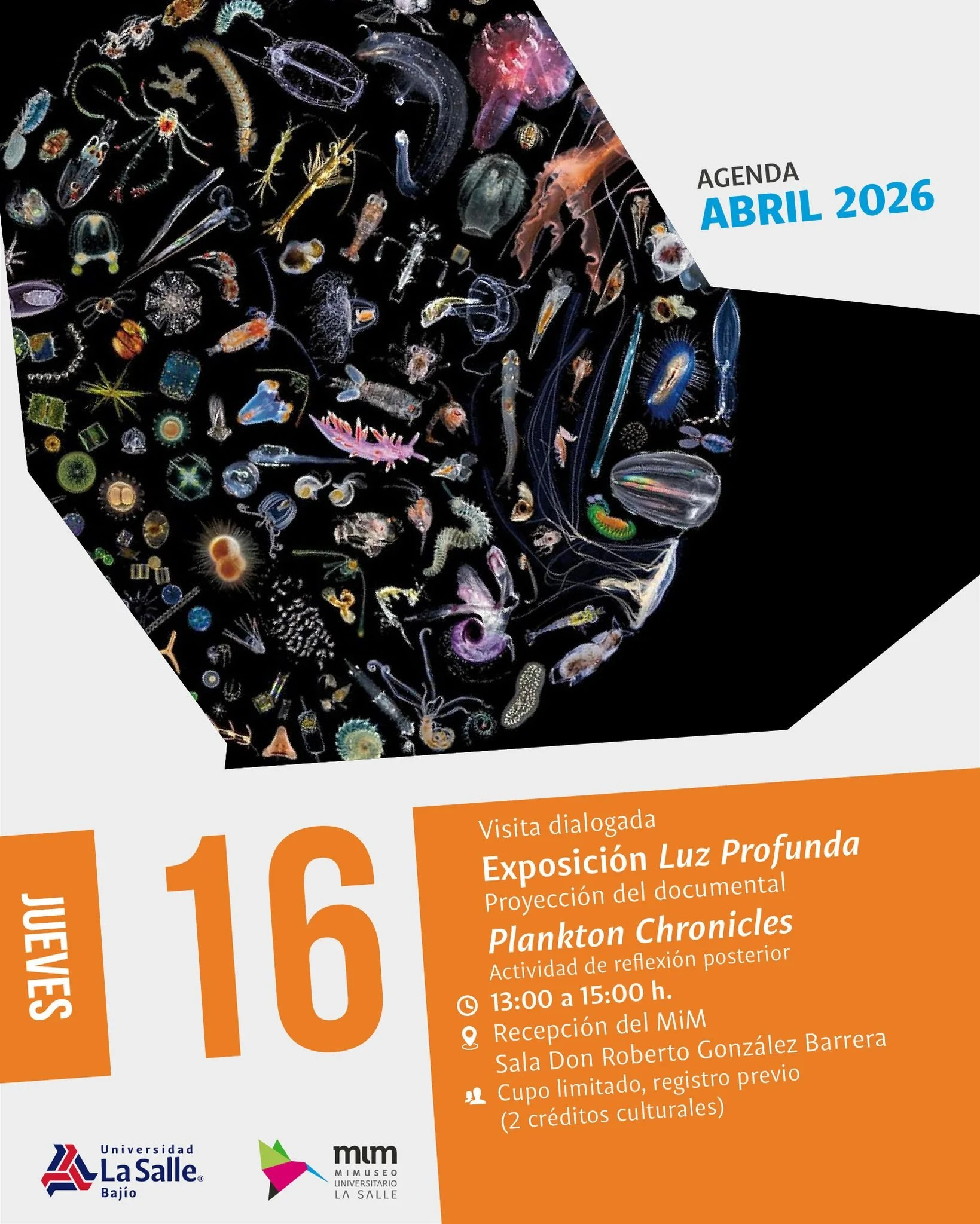 EXPOSICIÓN LUZ PROFUNDA MIM LA SALLE