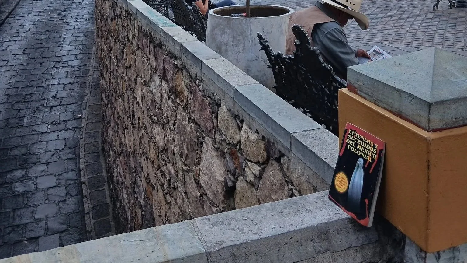 Regalan libros en las calles de León y Guanajuato Capital