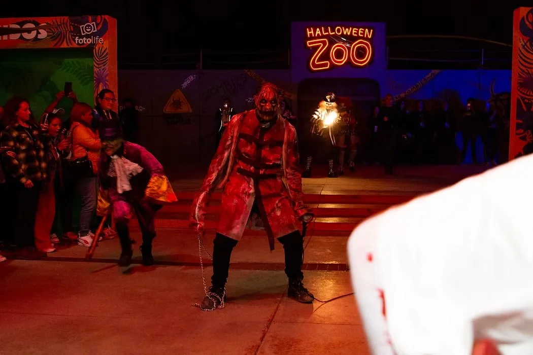 ¿Halloween Zoo dejará el Zoológico de León? Esto es lo que se sabe antes de la presentación oficial