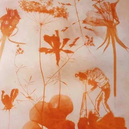 TALLER DE ANTOTIPIA: CULTIVA IMÁGENES CON LA LUZ DEL SOL