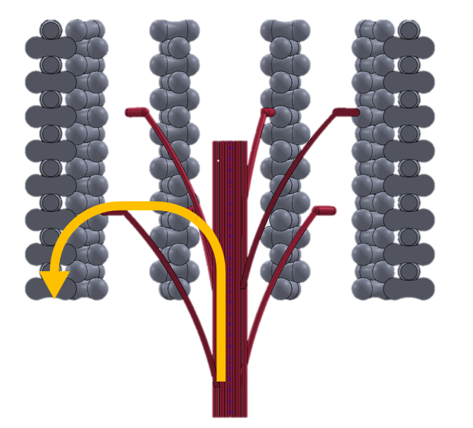 Diagram of a biological cell membrane illustrating transport proteins and lipid bilayer structure.
