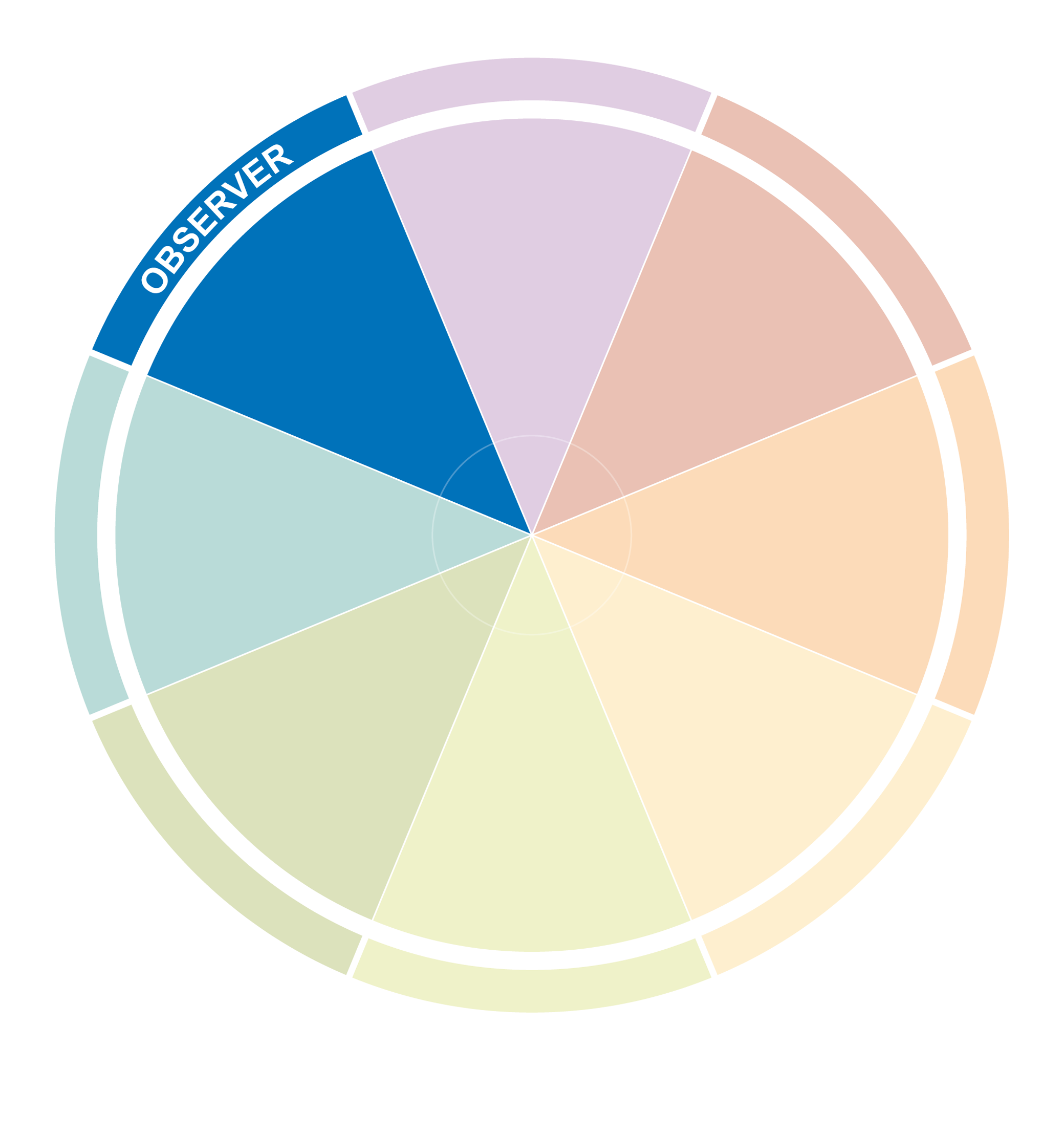 Colorful circular chart with segments labeled 'OBSERVER' and various data sections in pastel shades.