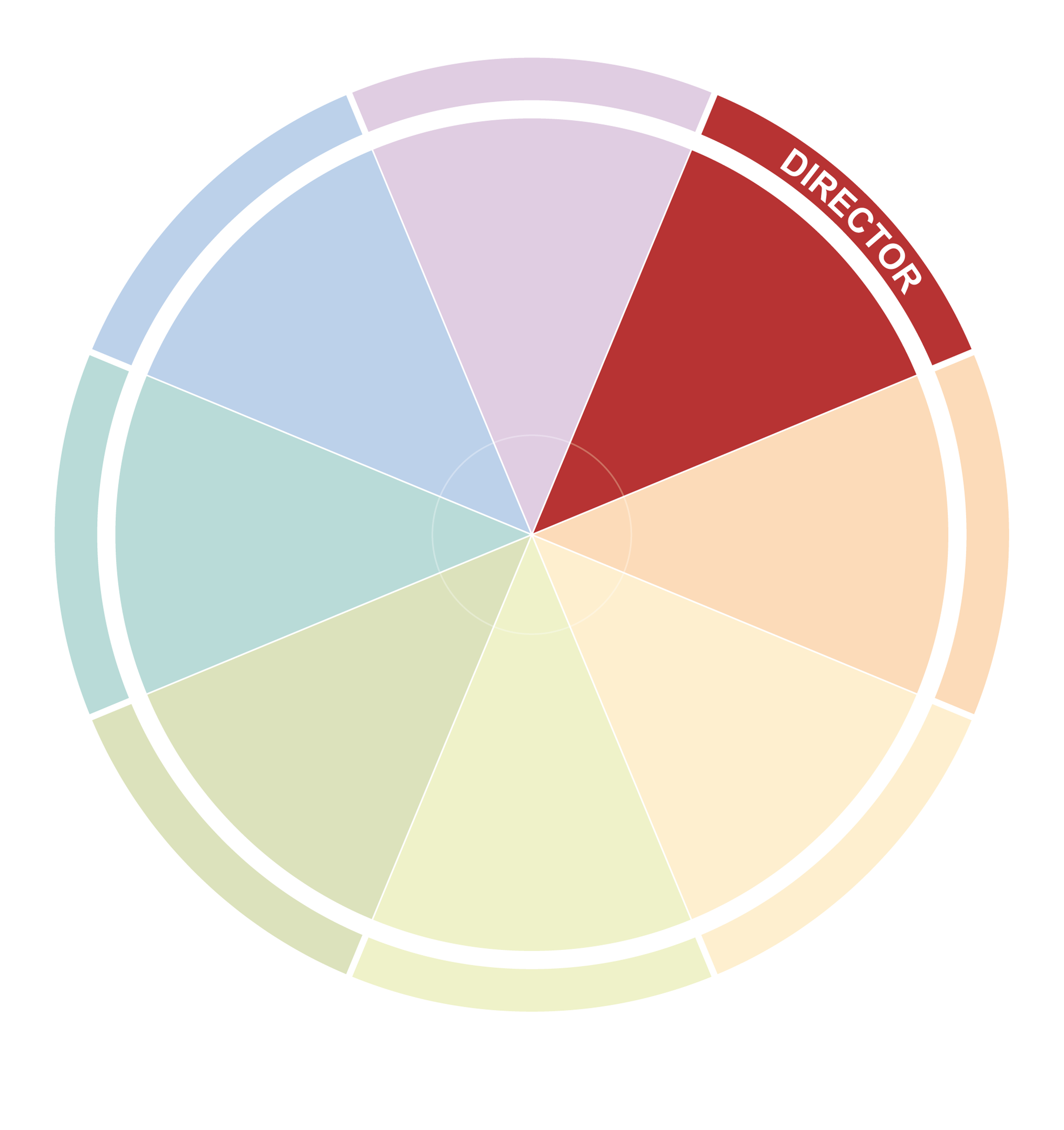 Colorful circular pie chart with segments labeled in various pastel shades, including one segment labeled 'DIRECTOR' in red.