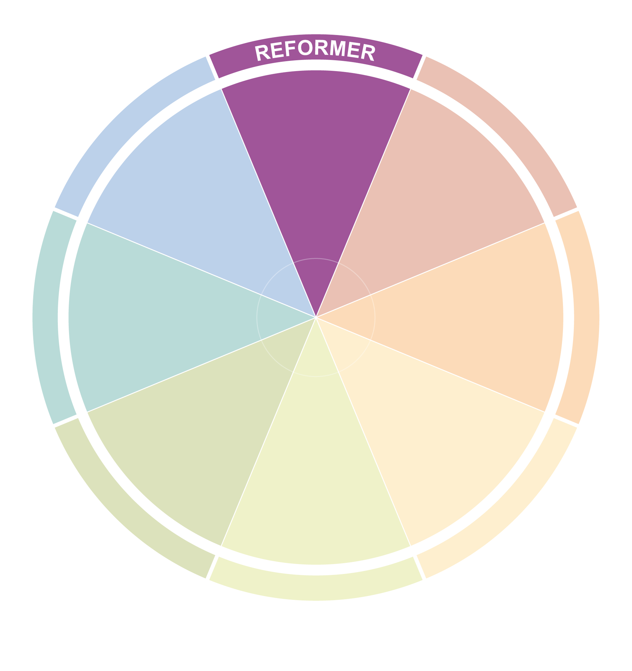 A colorful pie chart with segments labeled 'Reformer', with each segment in different pastel shades.