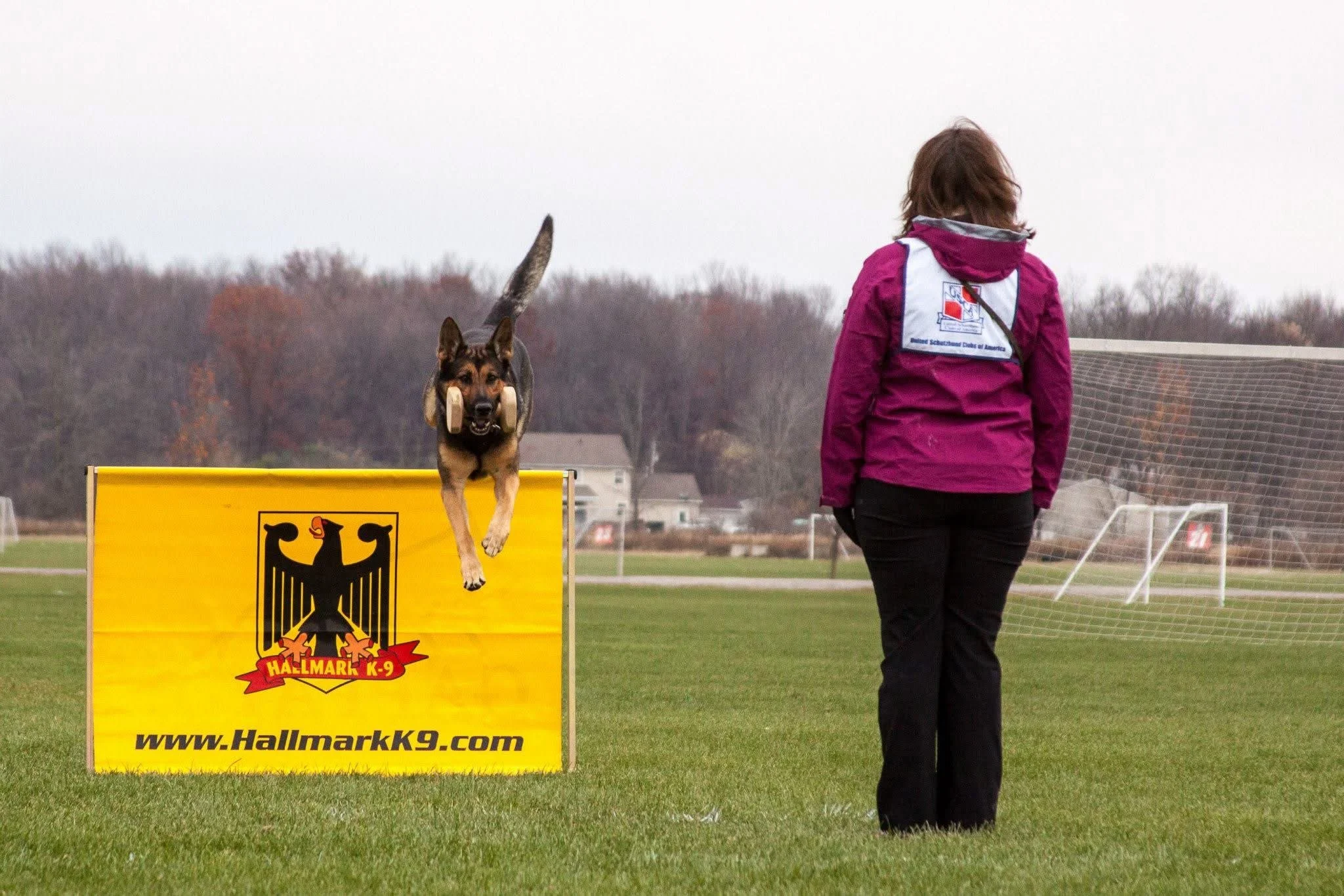 Photo Dec 20 2025, 15 14 03.jpg