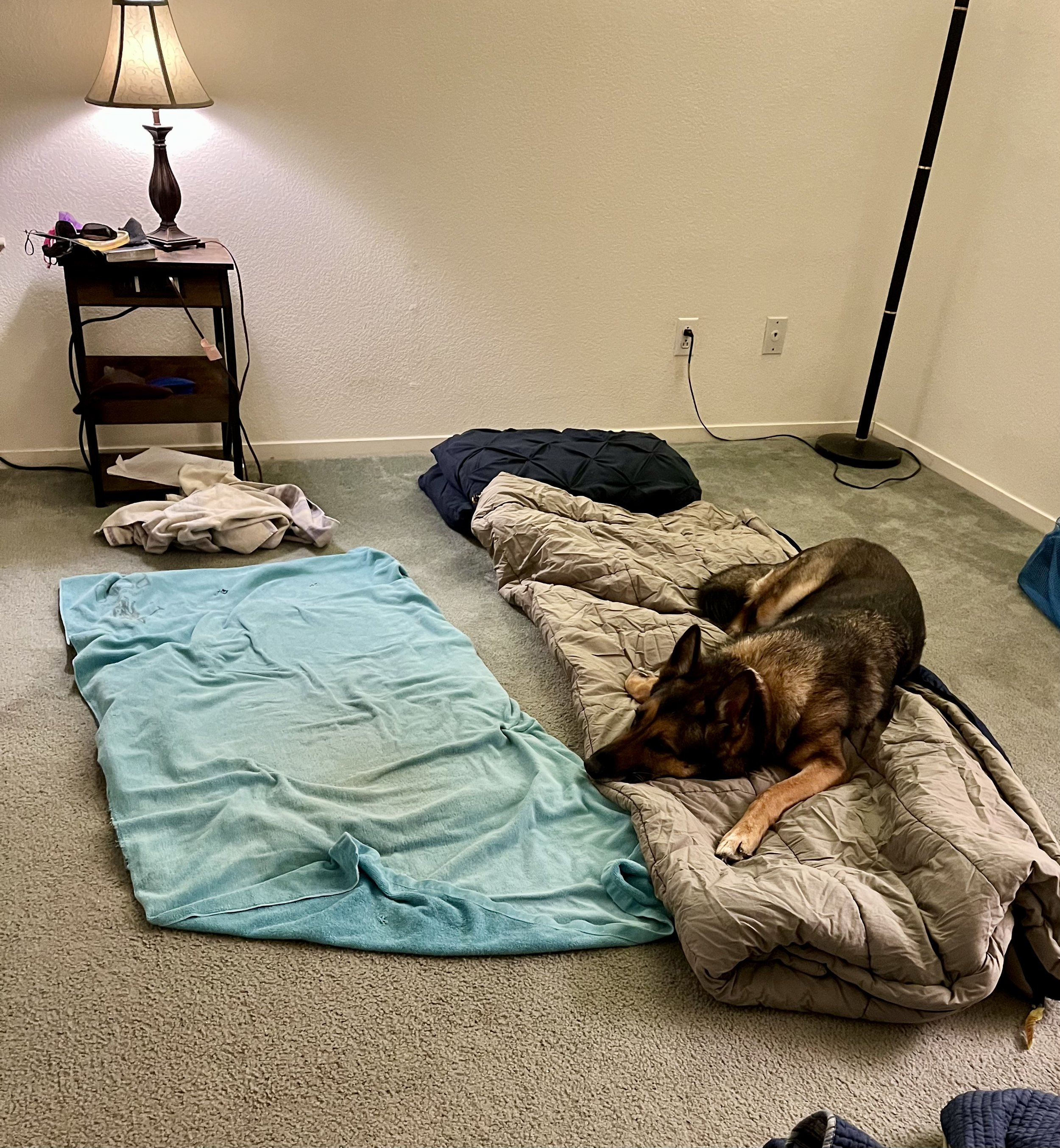 Photo Jul 02 2025, 22 14 26.jpg