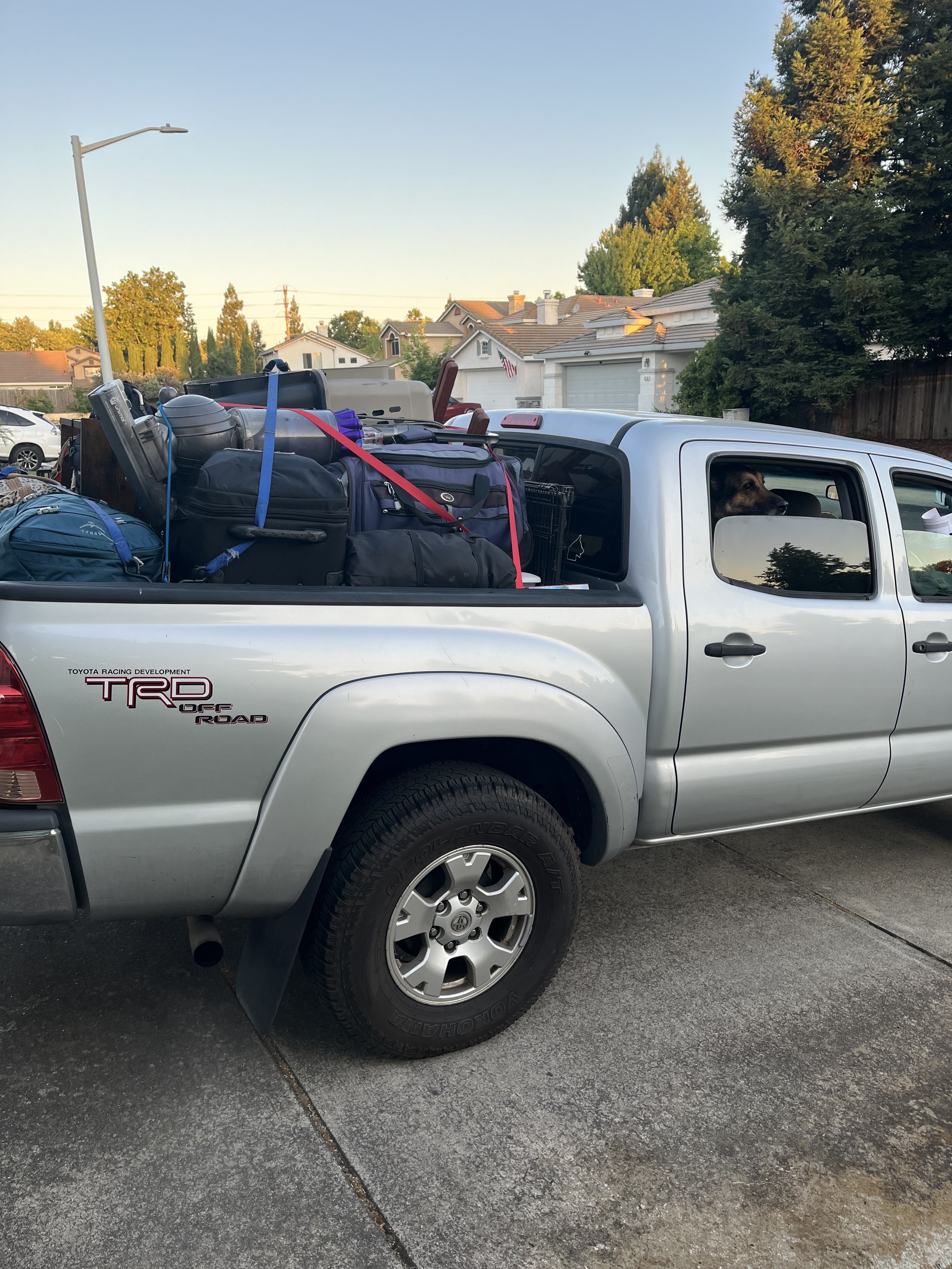 Photo Jul 04 2025, 06 04 50.jpg