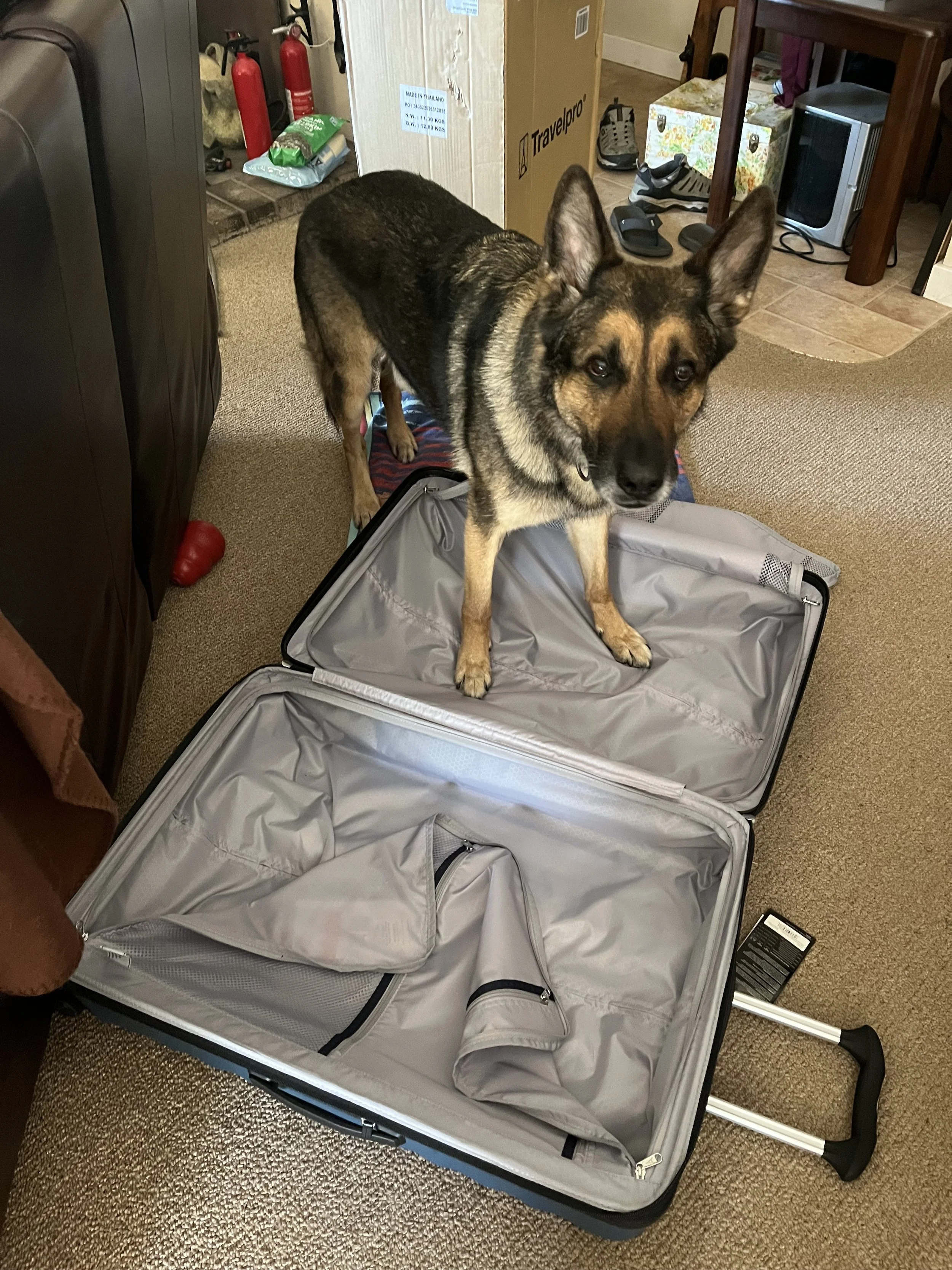 Photo Aug 22 2025, 16 32 43.jpg