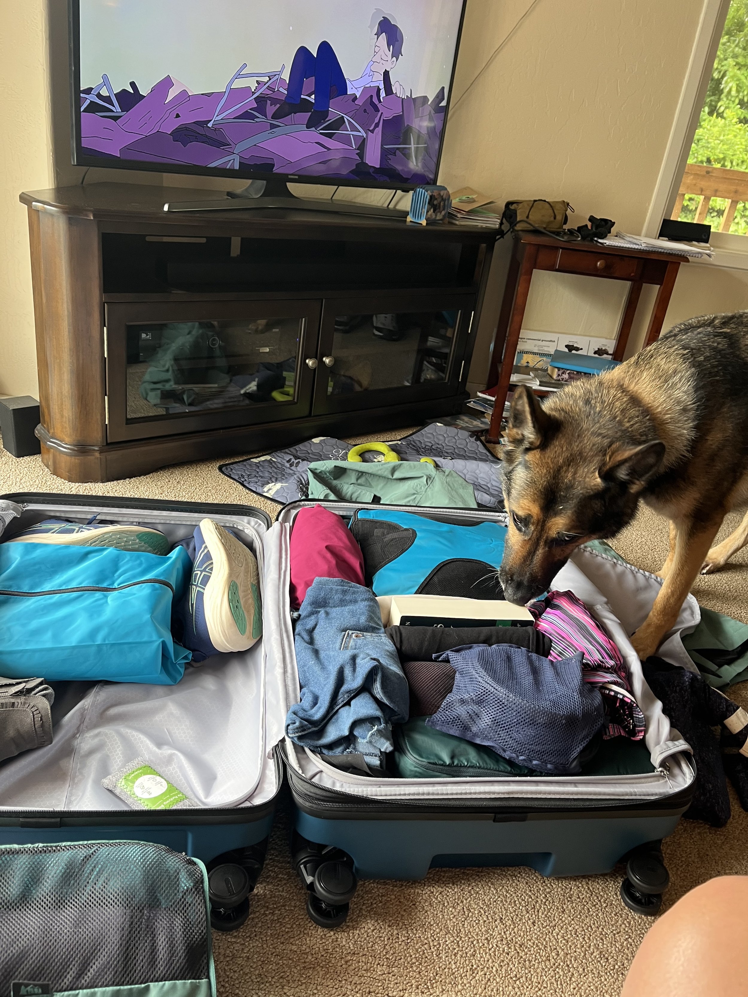 Photo Sep 01 2025, 11 25 12.jpg