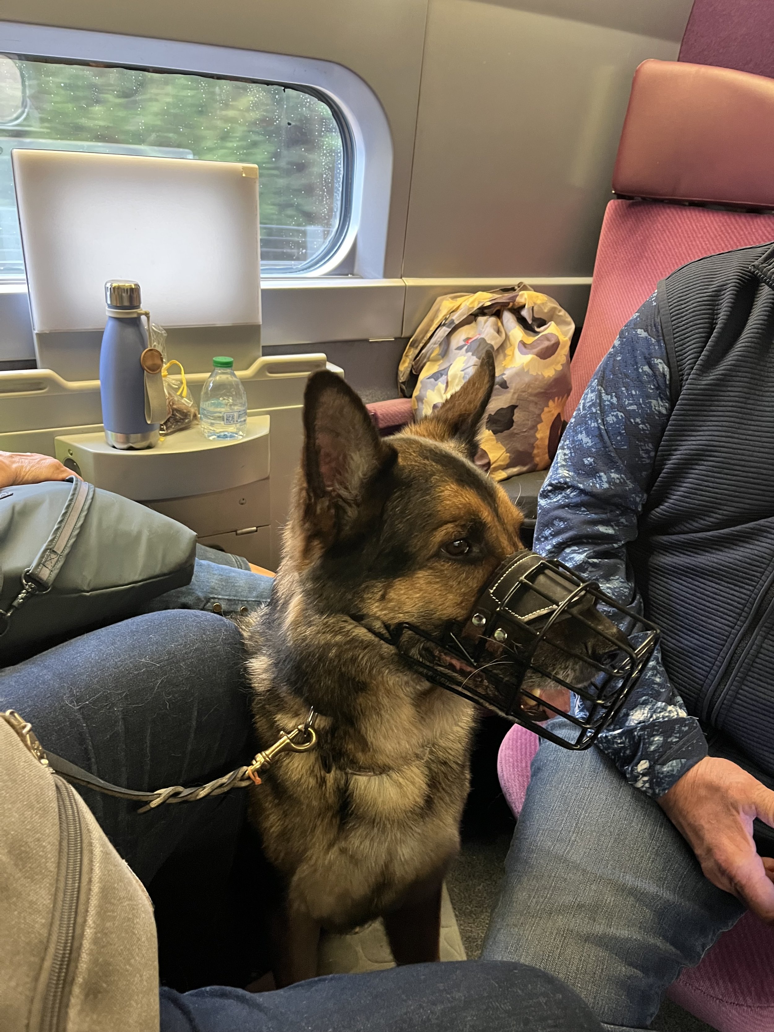 Photo Mar 23 2026, 15 01 33.jpg