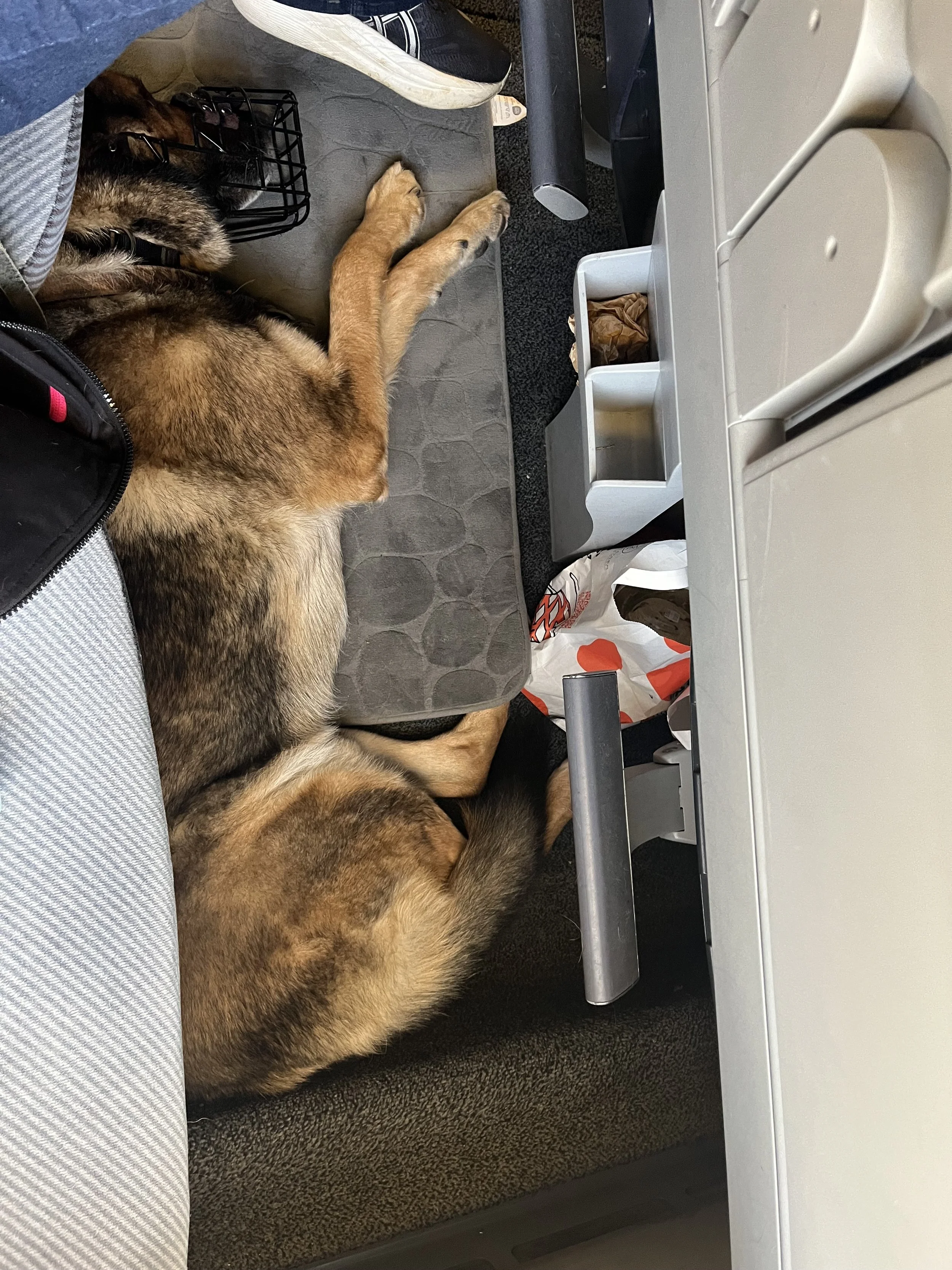 Photo Mar 26 2026, 15 09 15.jpg