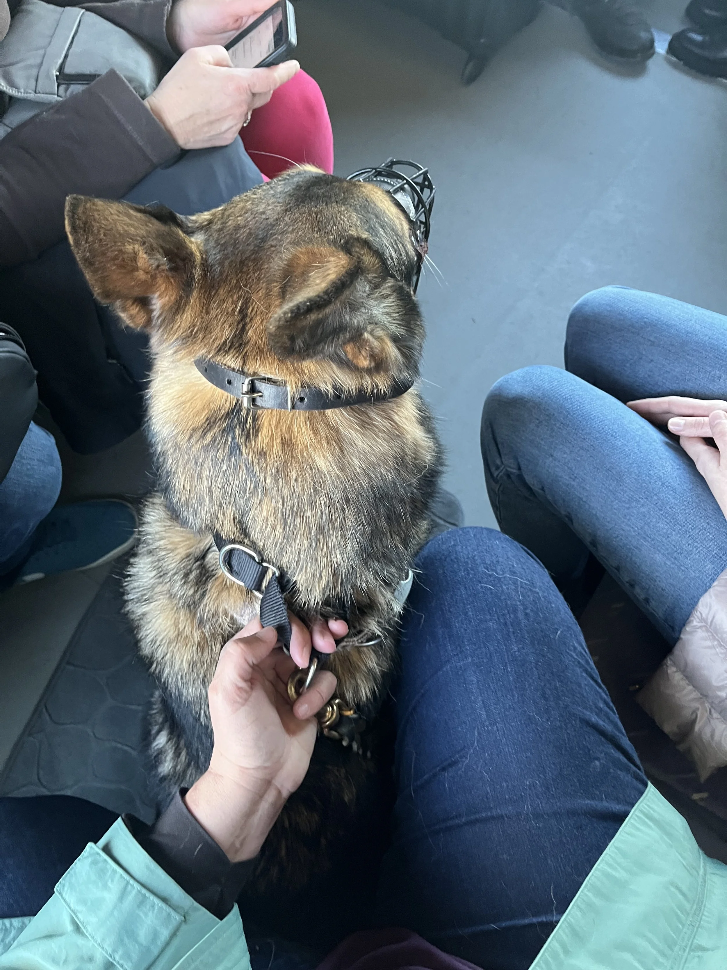 Photo Mar 26 2026, 17 25 07.jpg