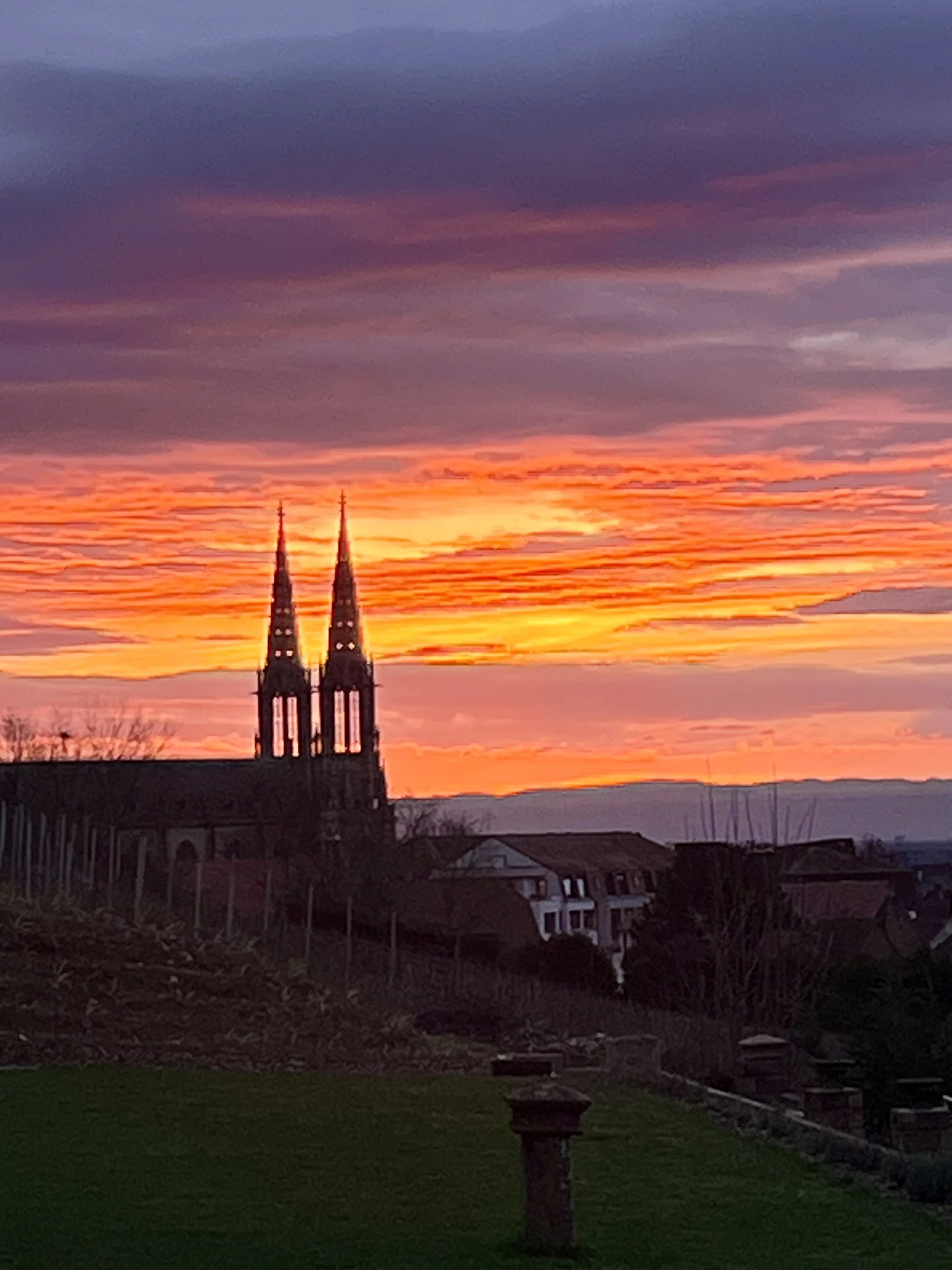 Photo Jan 14 2026, 08 12 50.jpg