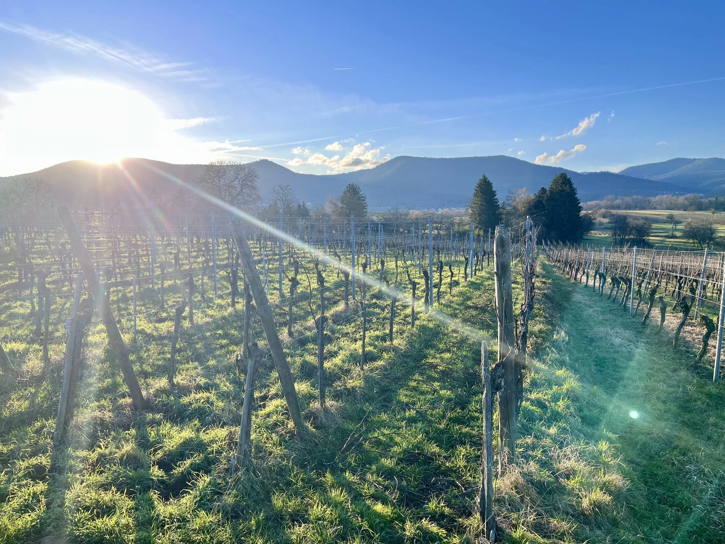 Photo Jan 15 2026, 15 56 30.jpg