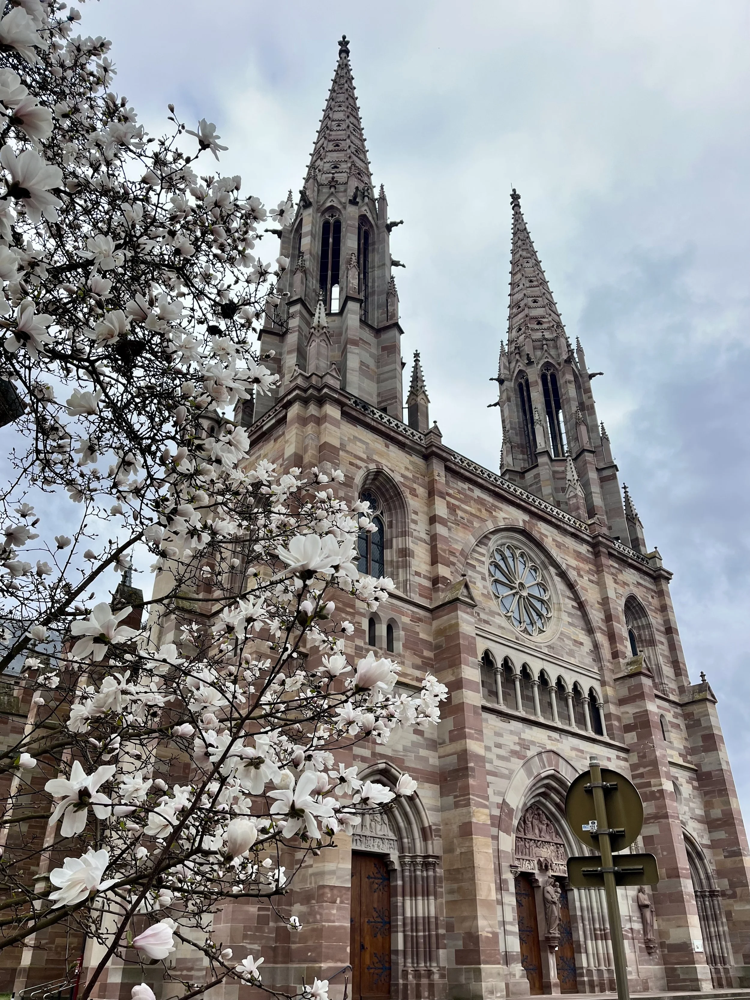 Photo Mar 15 2026, 14 00 39.jpg