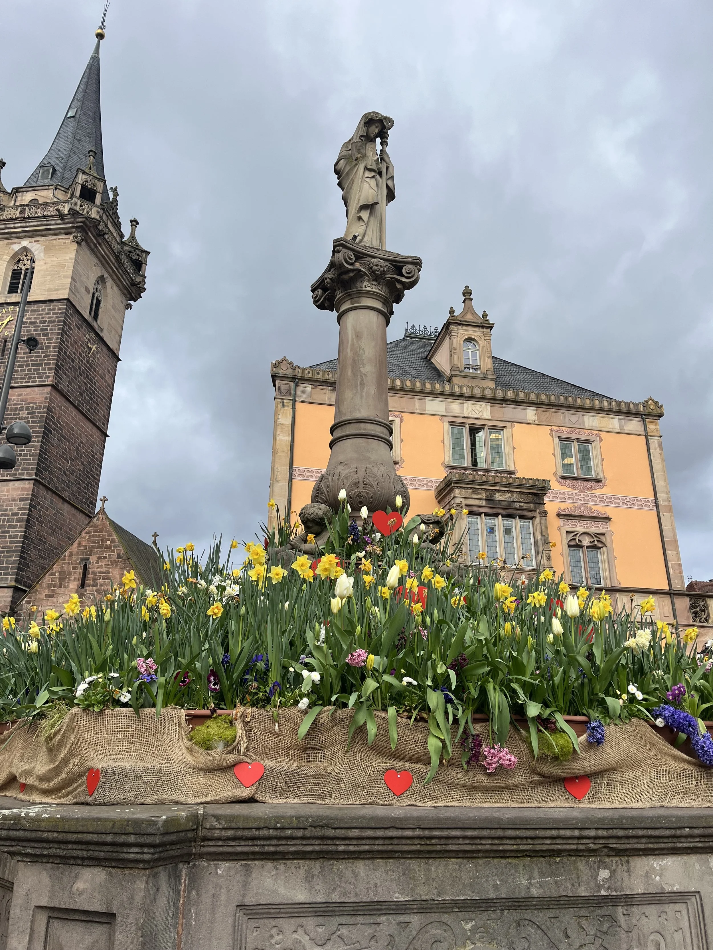 Photo Mar 16 2026, 08 35 12.jpg