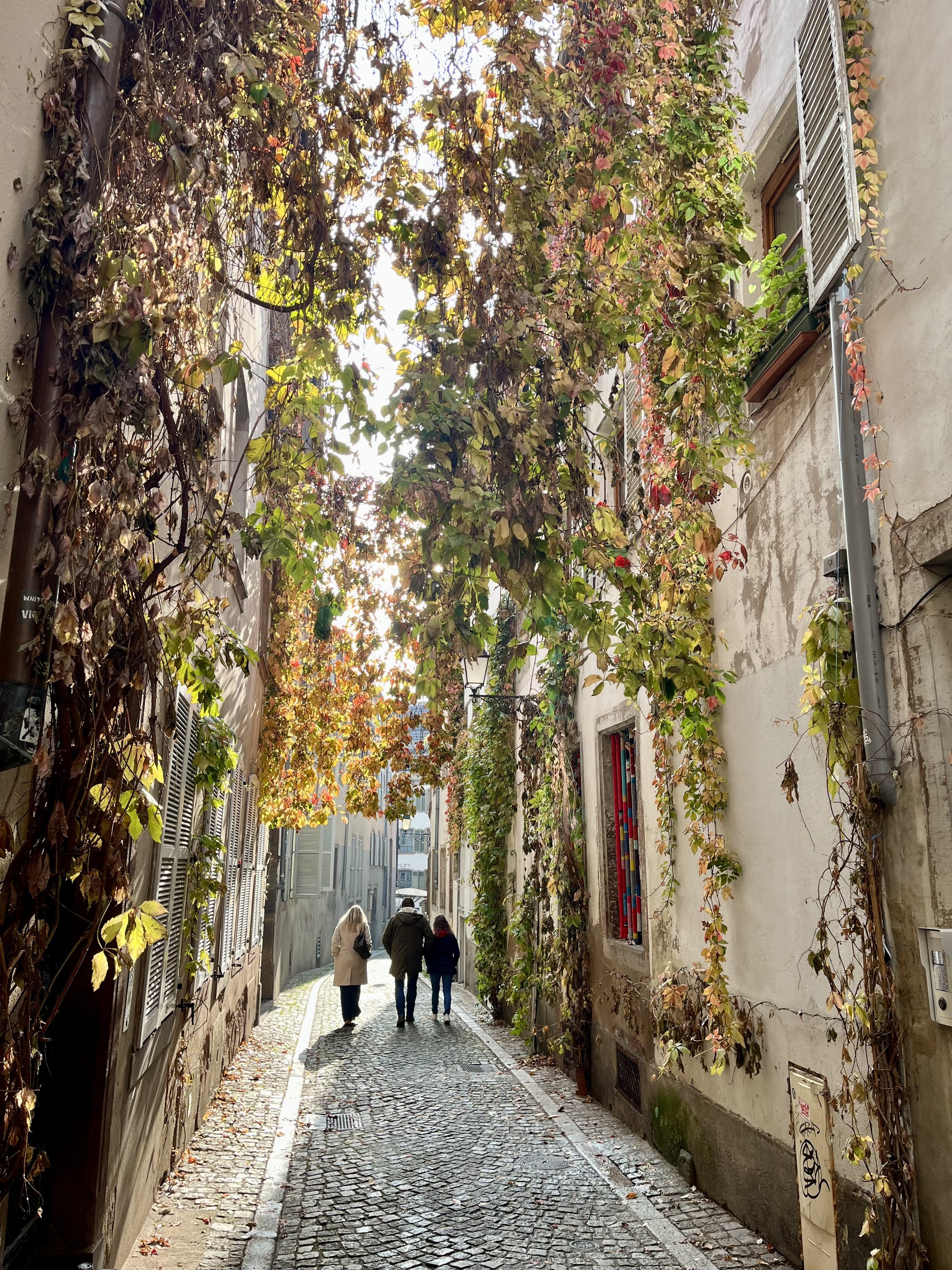 Photo Nov 09 2025, 13 50 52.jpg