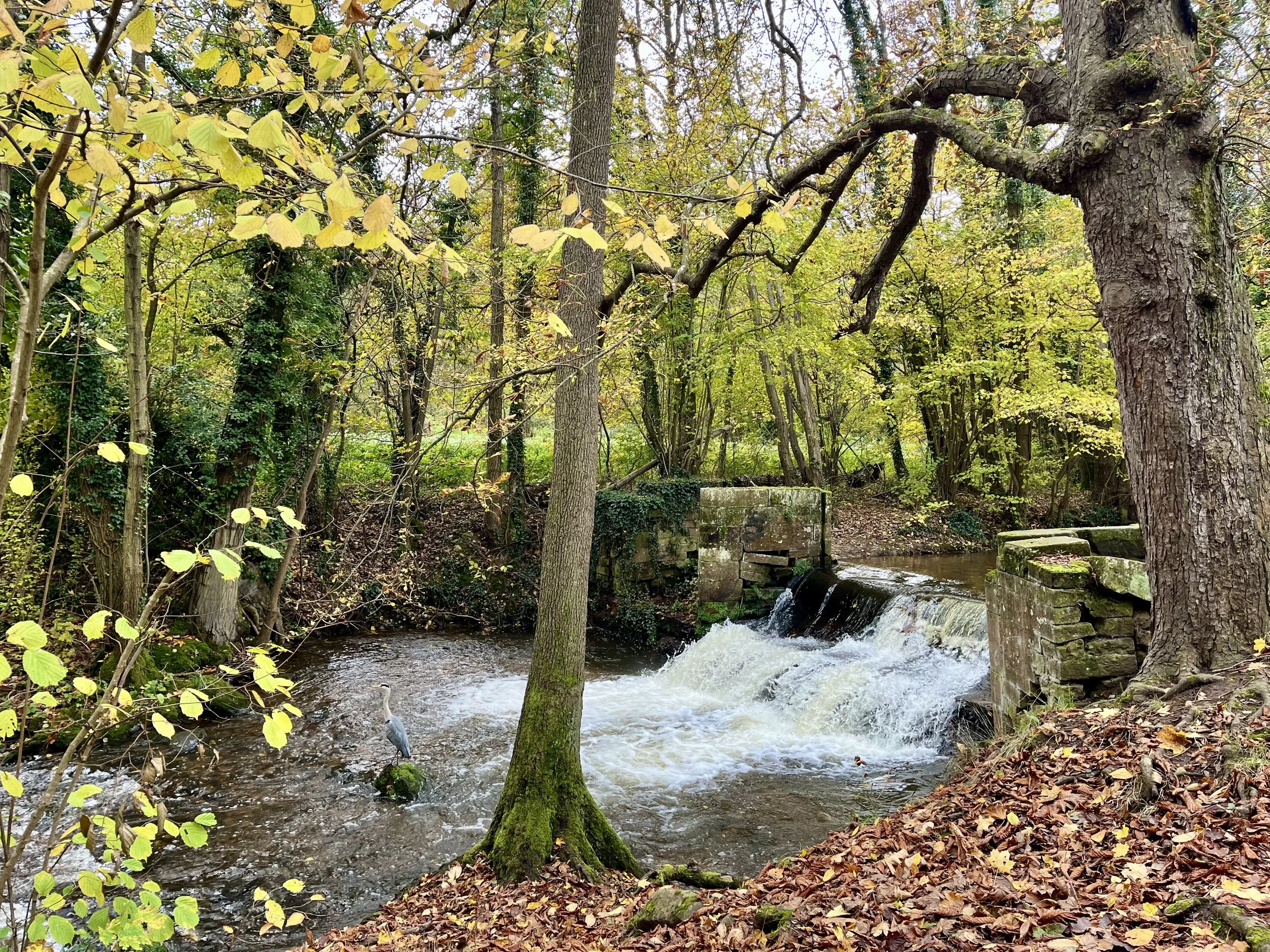 Photo Nov 01 2025, 10 48 01.jpg