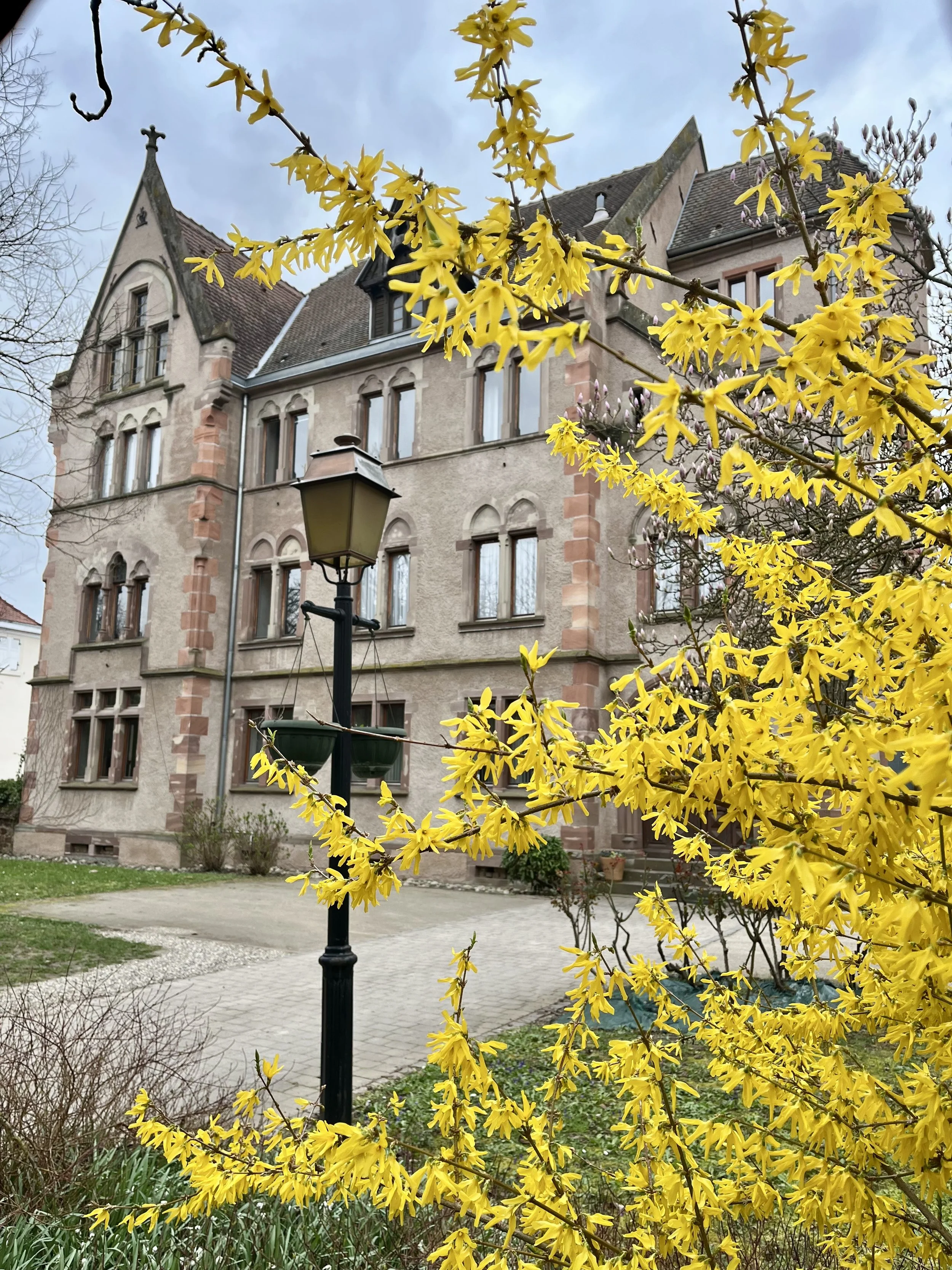 Photo Mar 15 2026, 14 03 25.jpg