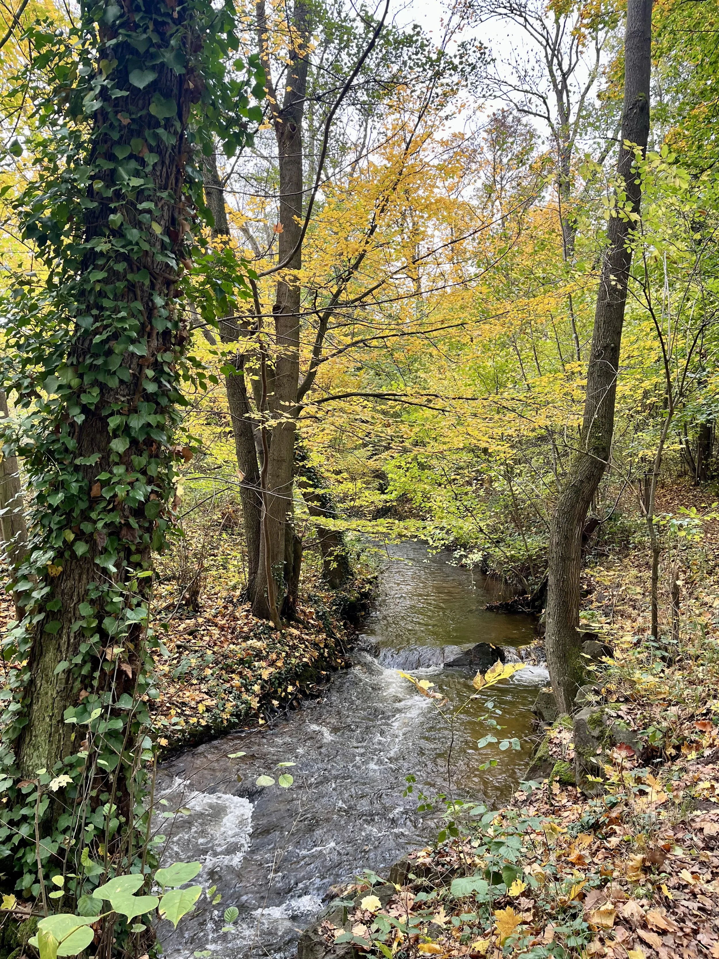 Photo Nov 01 2025, 10 45 32.jpg