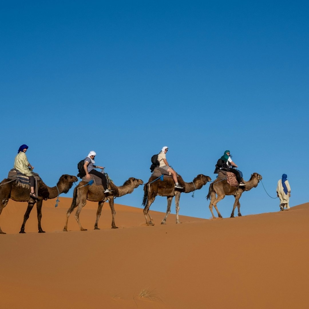 camel caravan